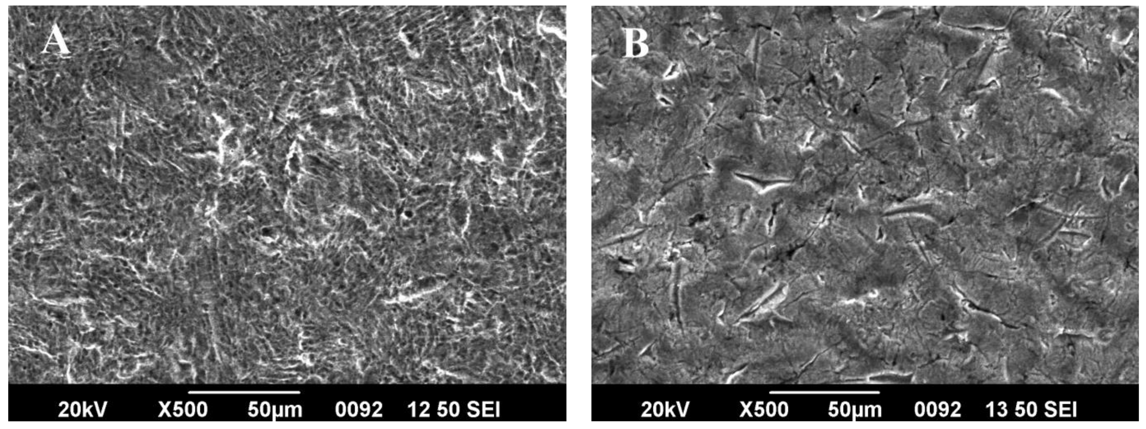 Coatings 11 01145 g009 Coatings 11 01145 g009