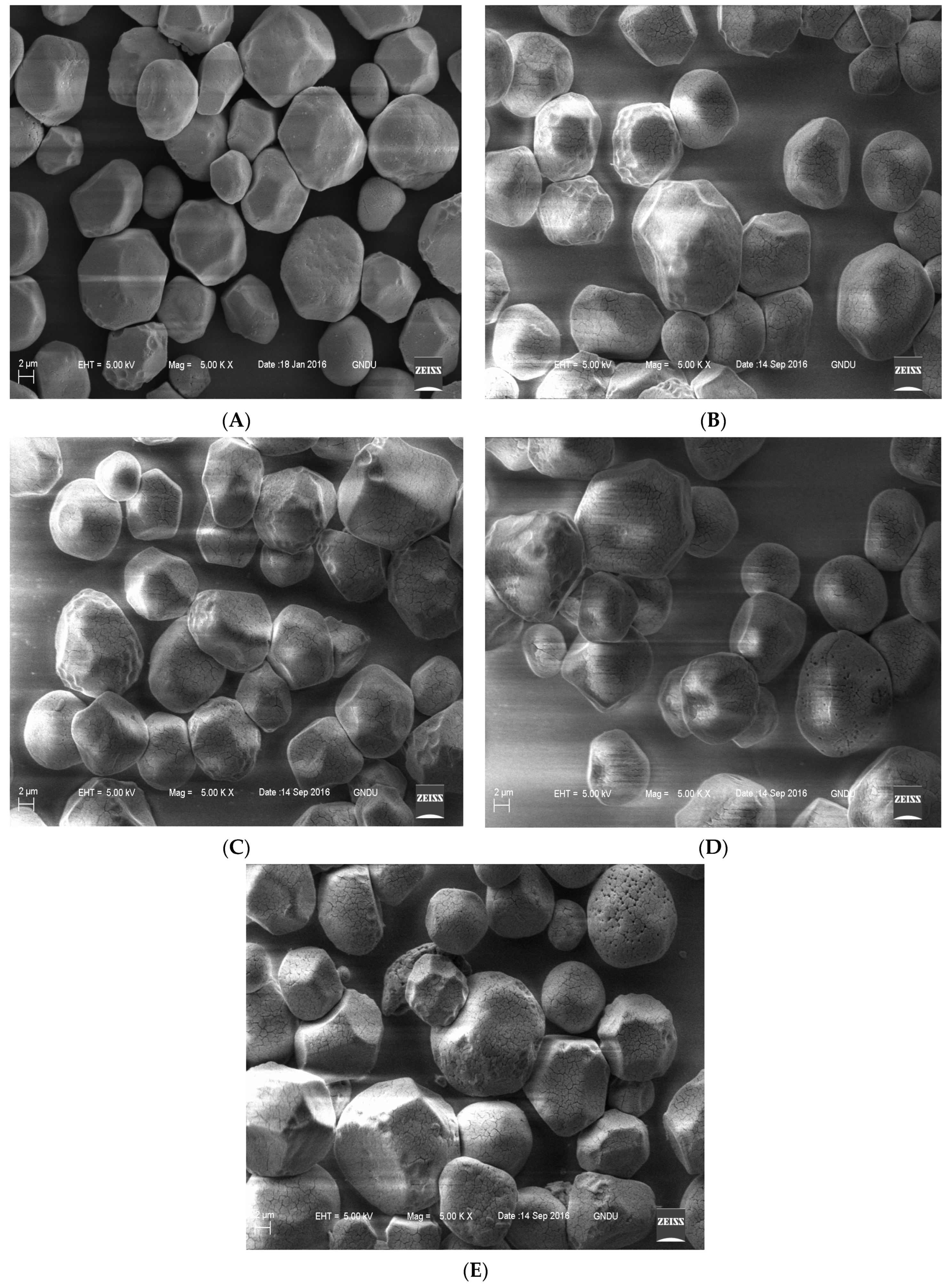 Coatings 11 01163 g003