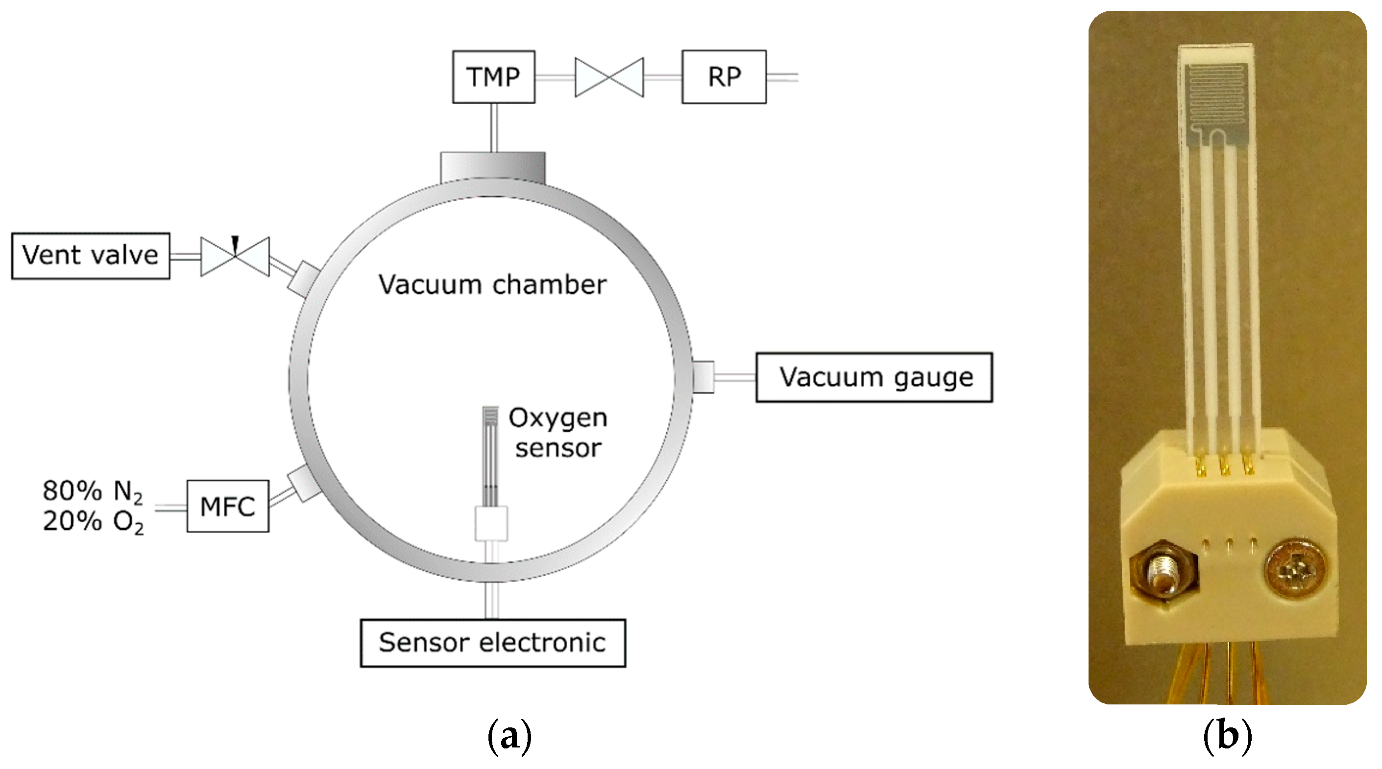 Coatings 11 01165 g002