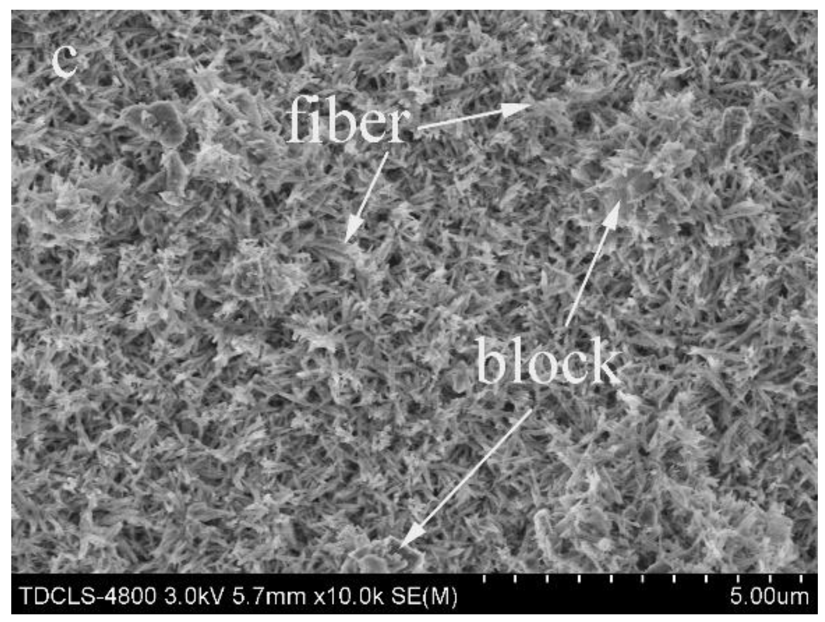 Coatings 11 01166 g007b
