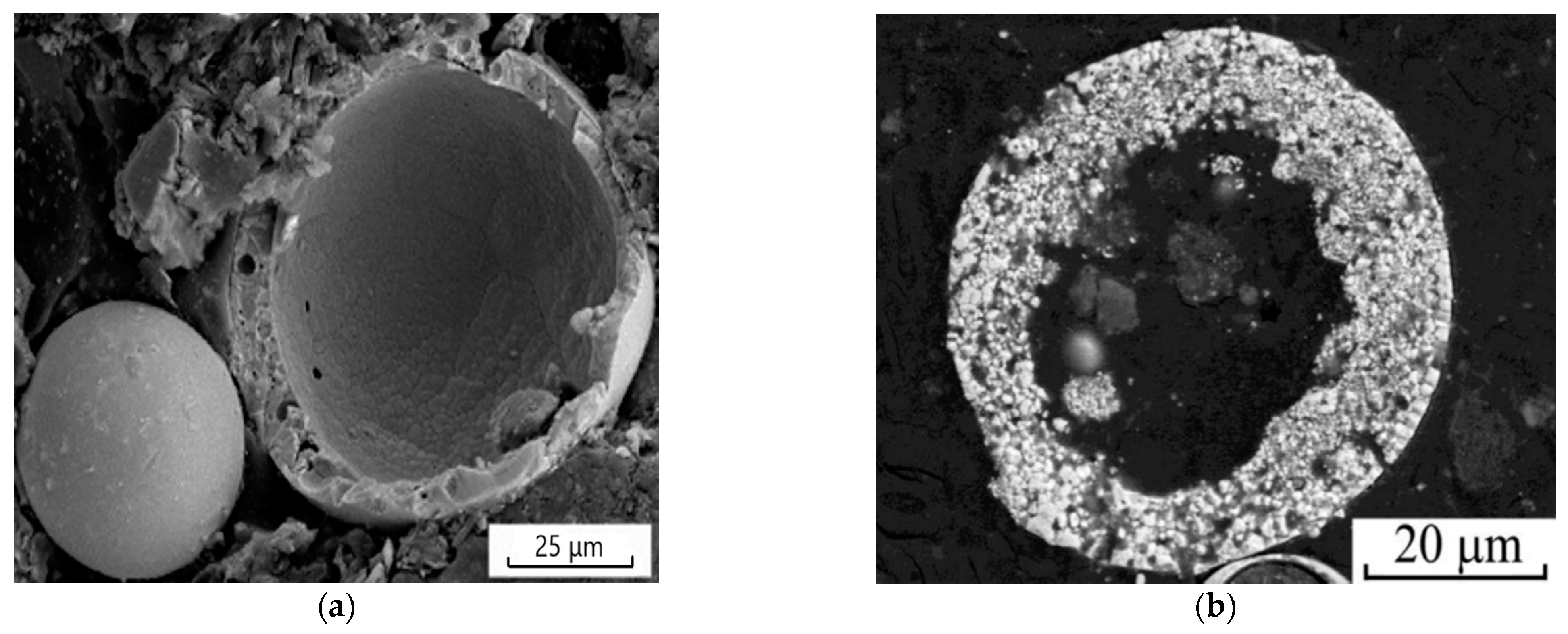 Coatings 11 01183 g001