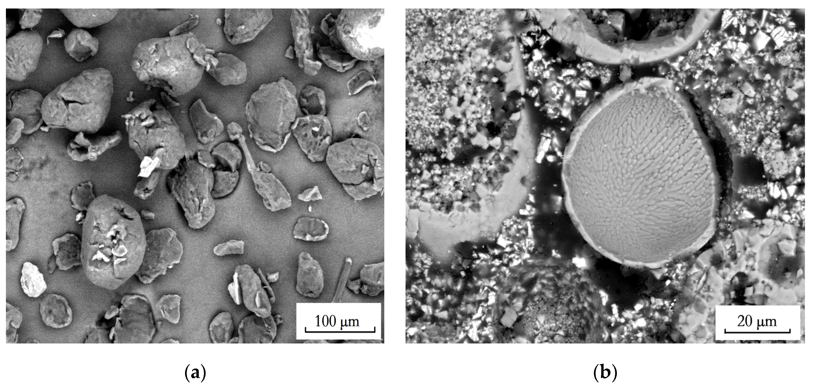 Coatings 11 01183 g002