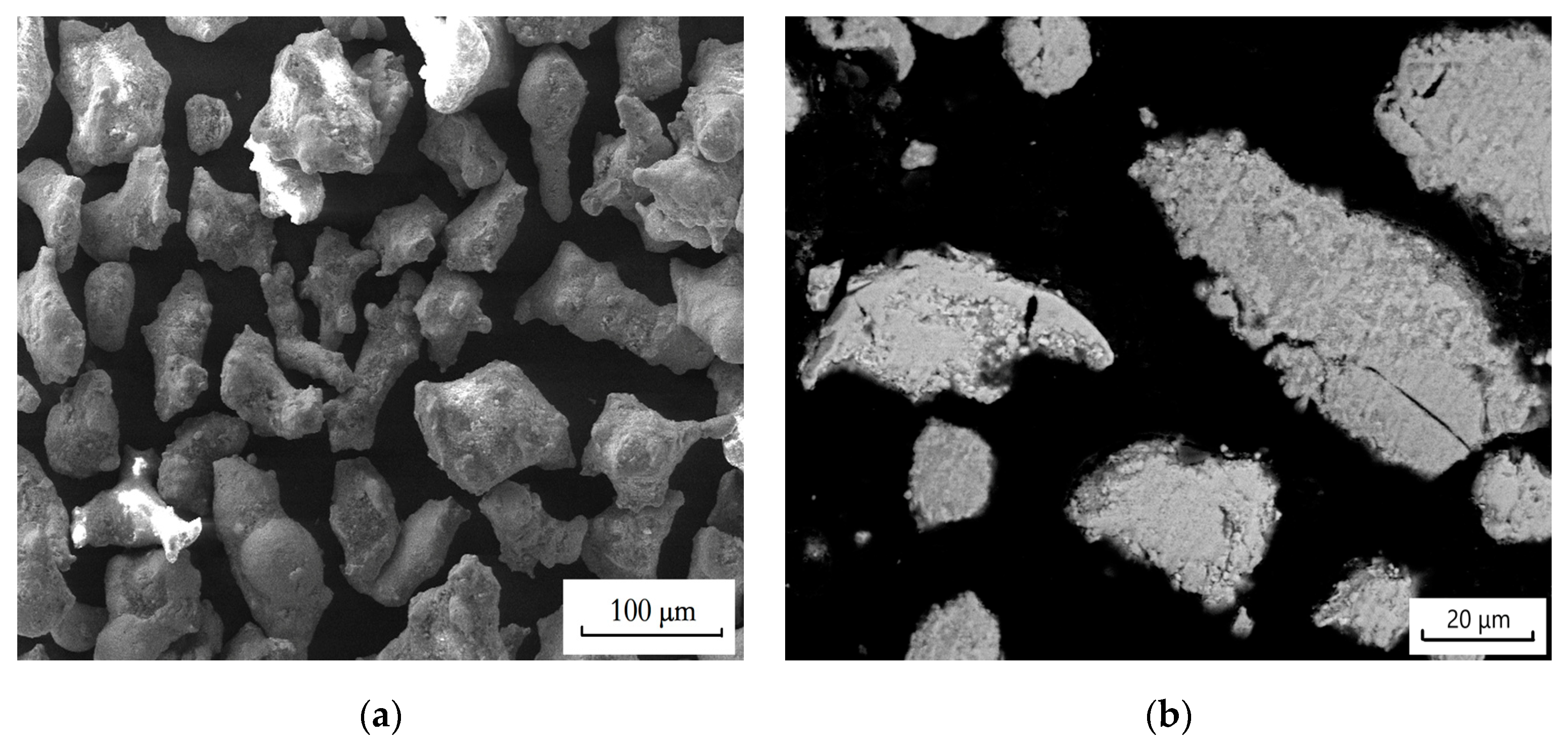 Coatings 11 01183 g003
