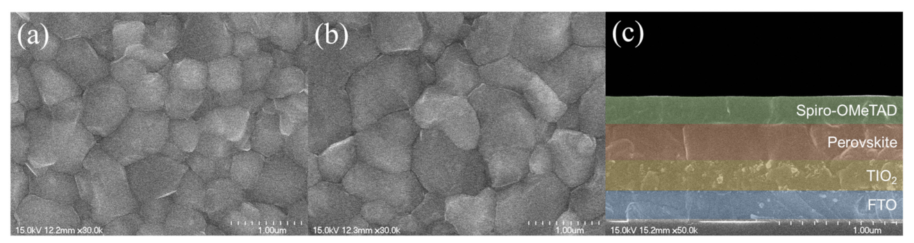 Coatings 11 01184 g004 Coatings 11 01184 g004