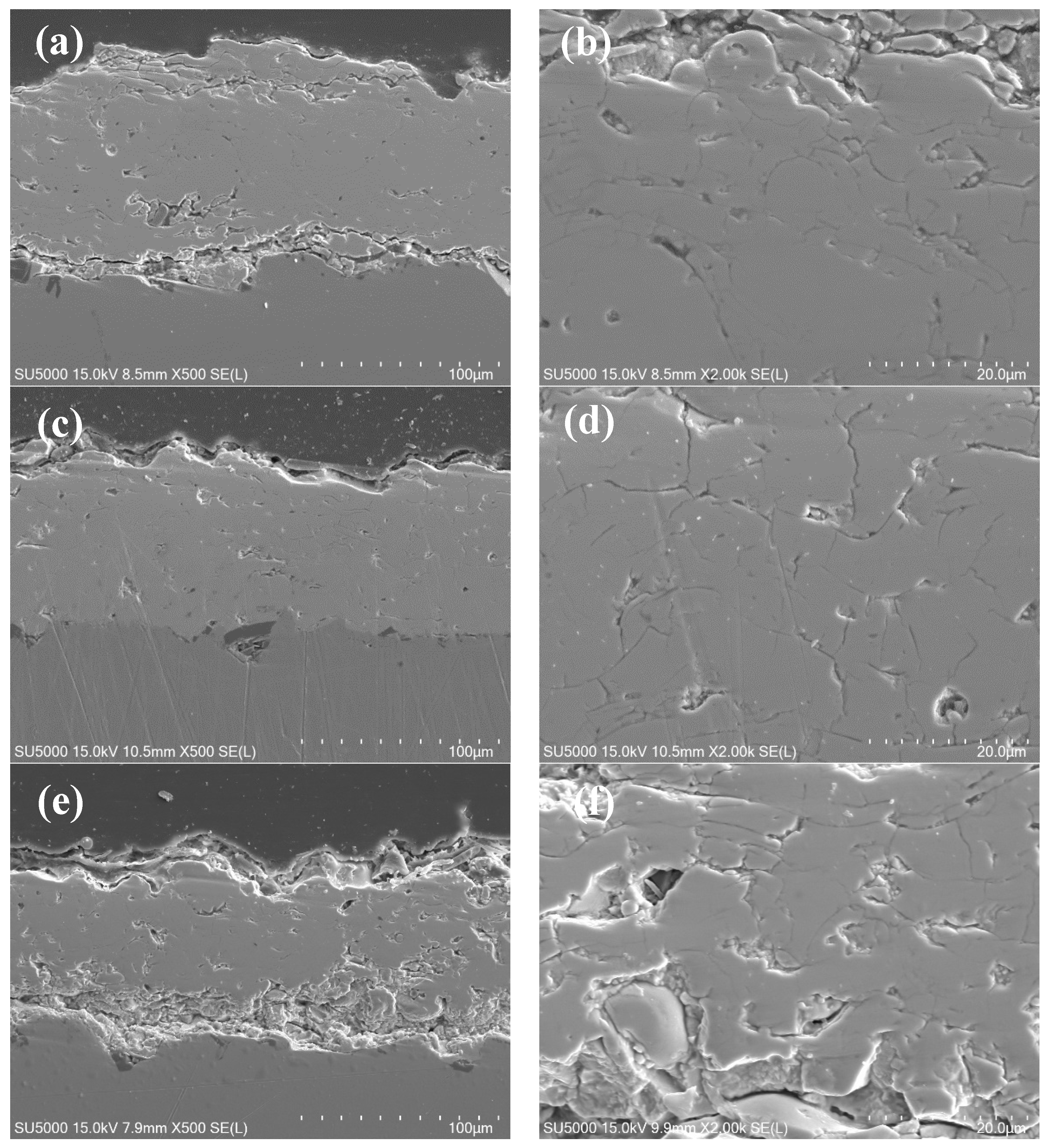 Coatings 11 01186 g003