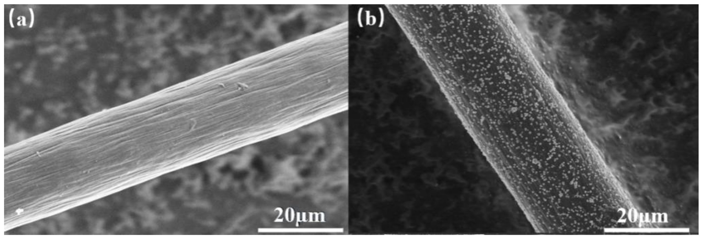 Coatings 11 01188 g003