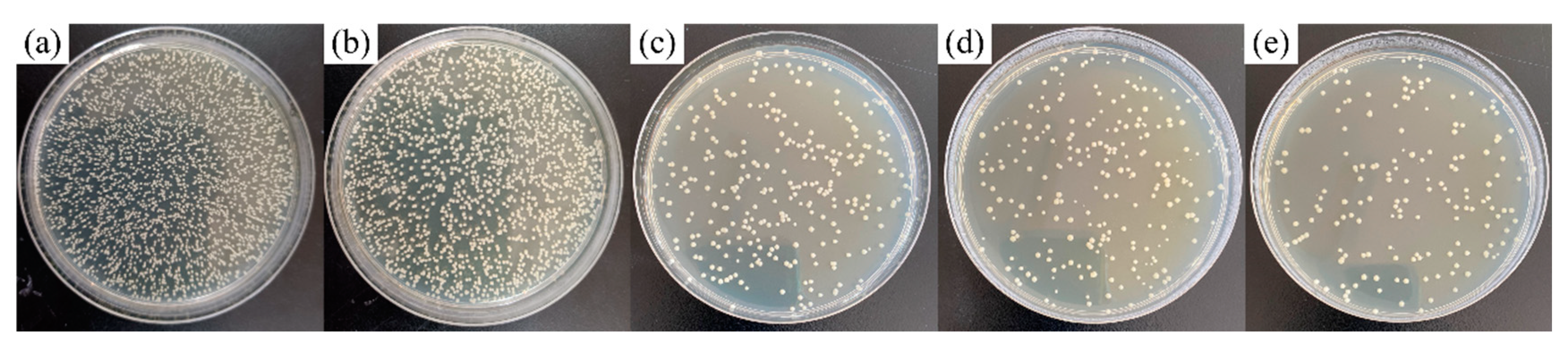 Coatings 11 01213 g010