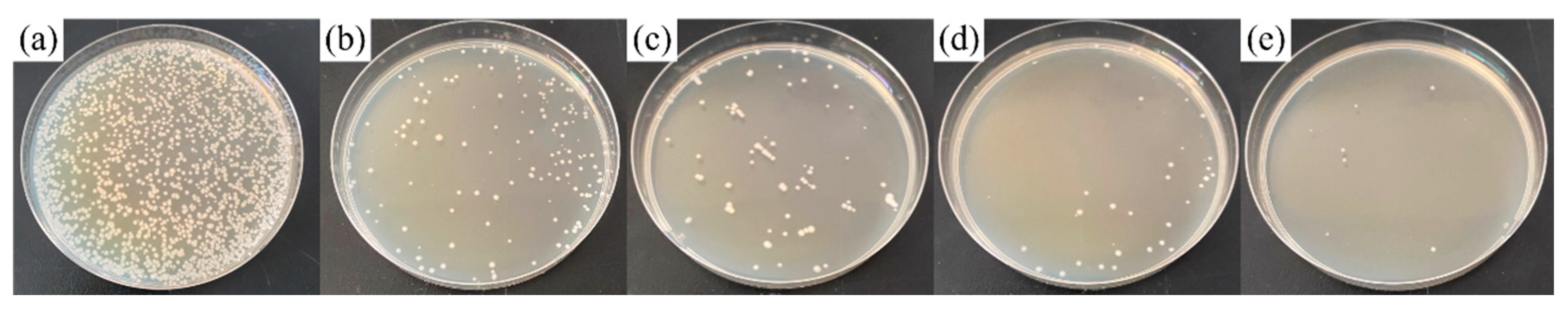 Coatings 11 01213 g011