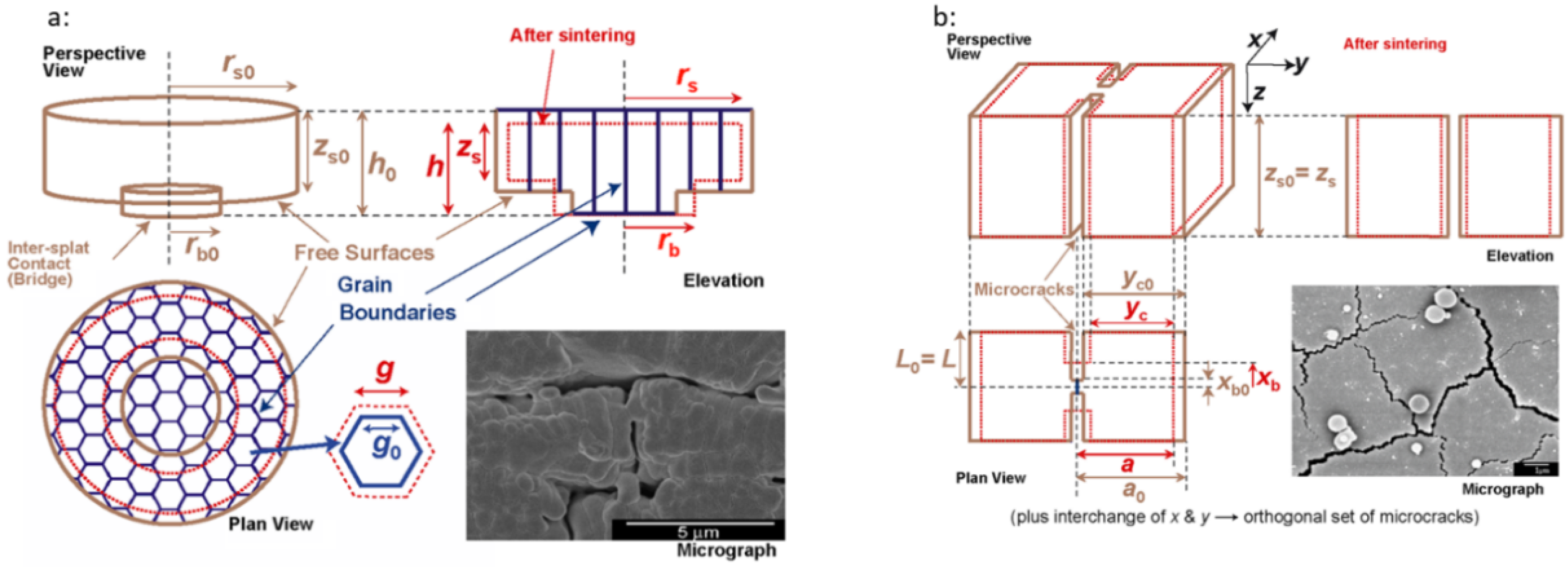 Coatings 11 01214 g001