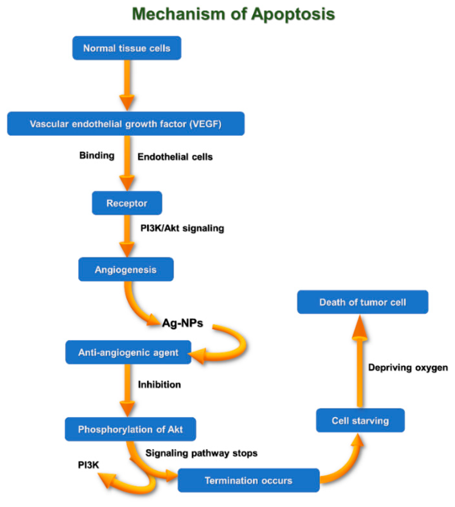 Coatings 11 01215 g011