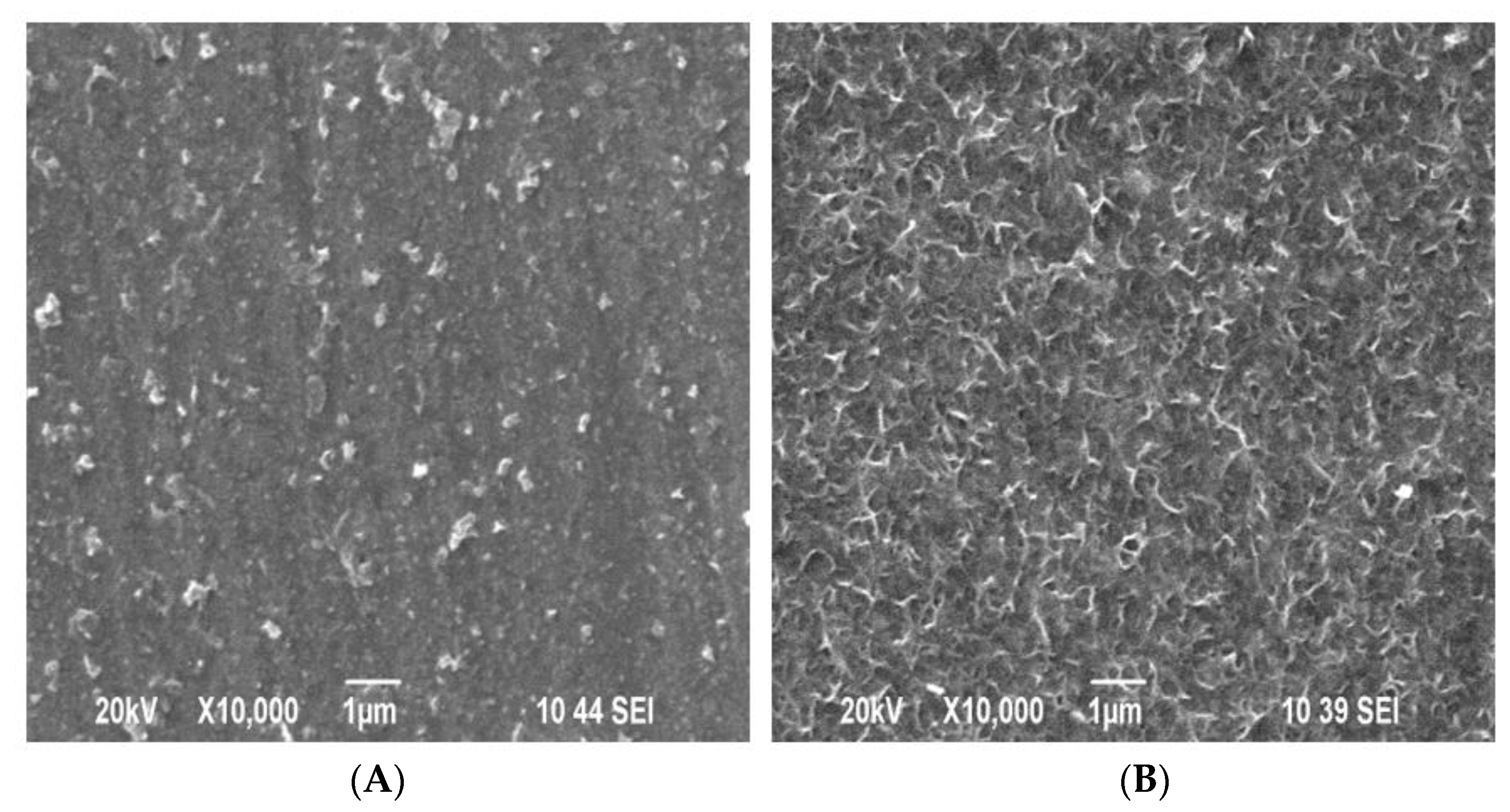 Coatings 11 01223 g001