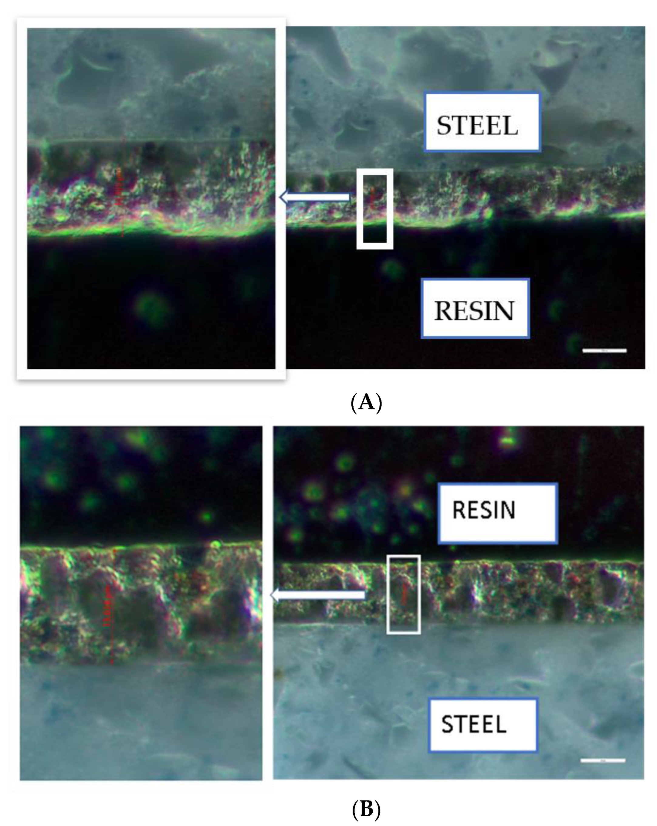 Coatings 11 01223 g003