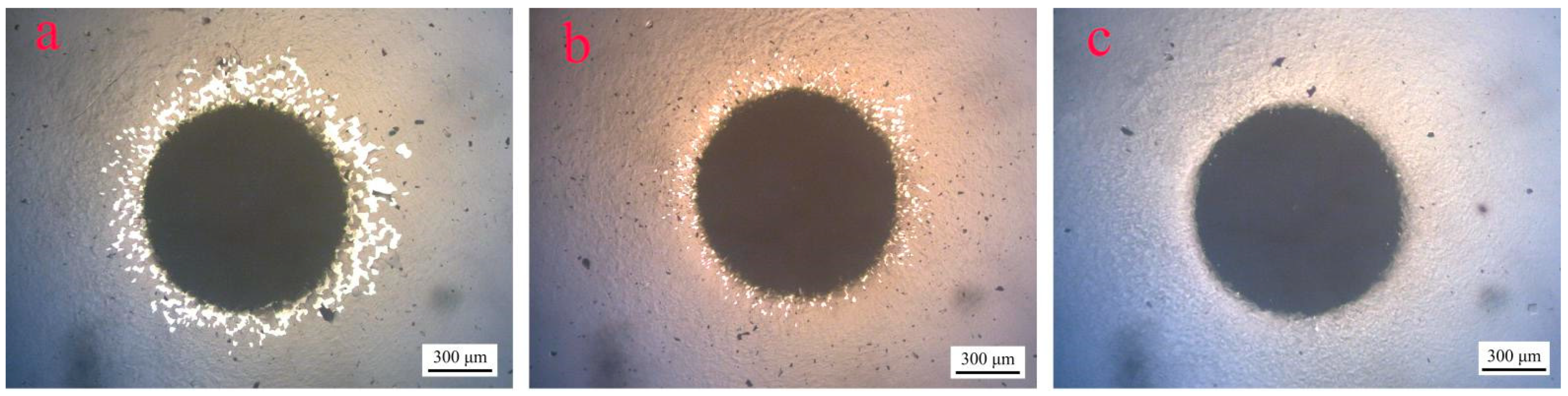 Coatings 11 01230 g004