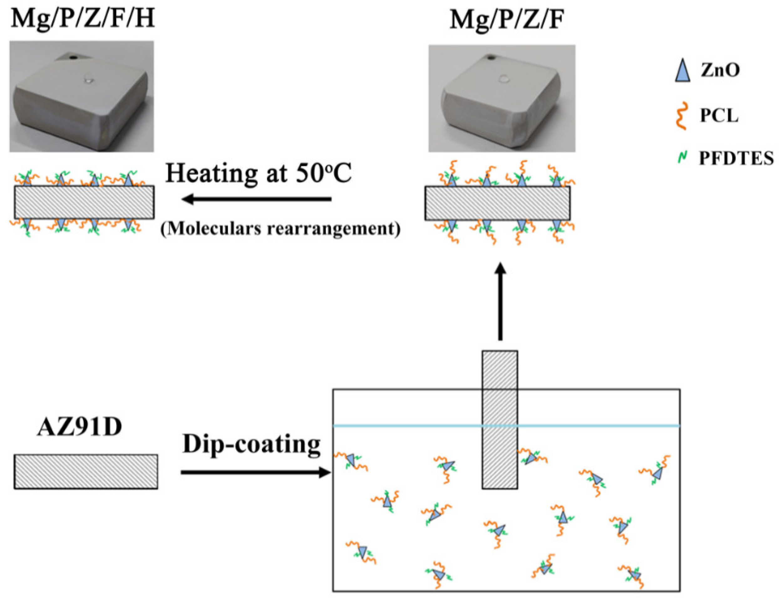 Coatings 11 01239 sch001