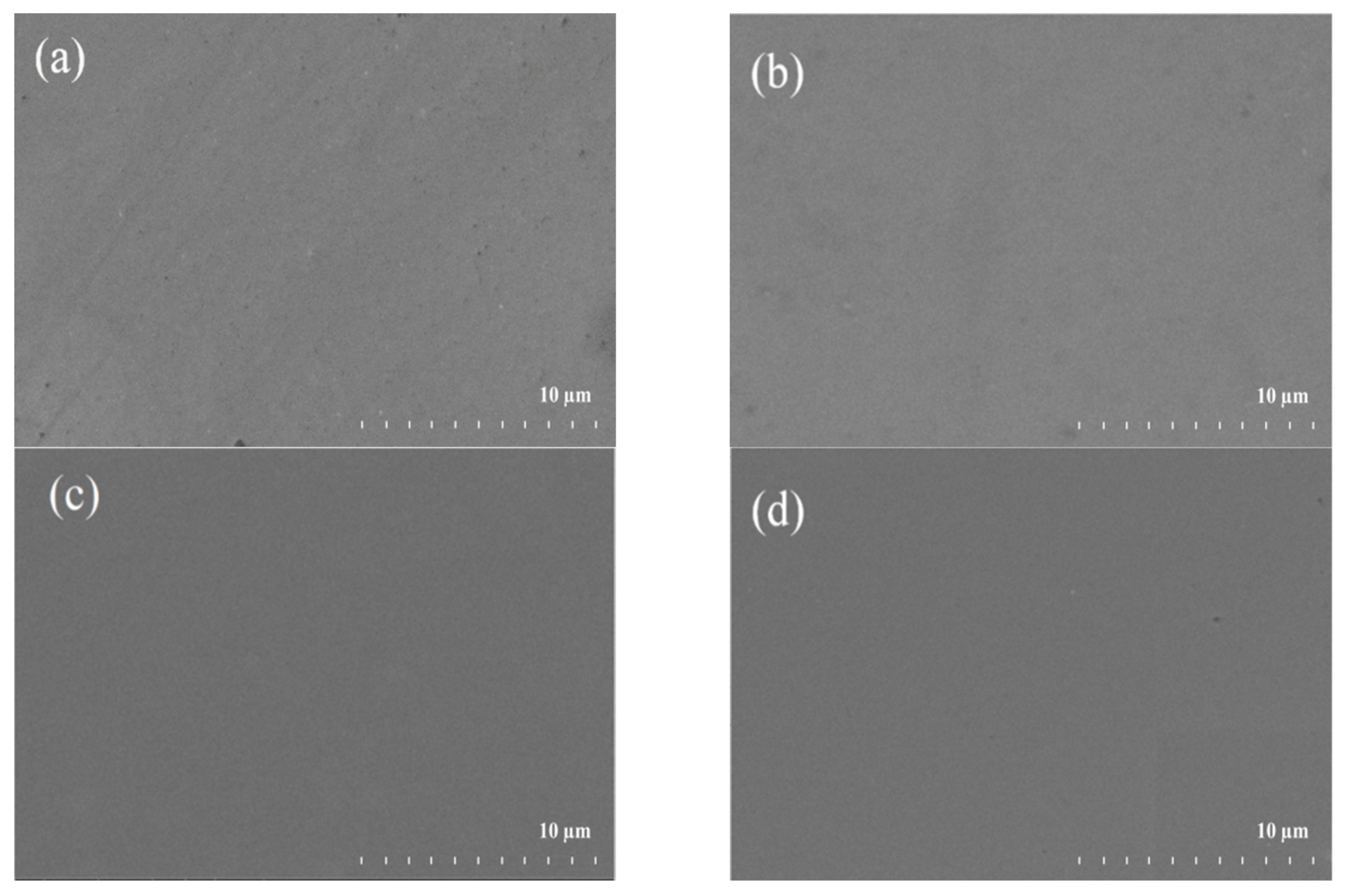 Coatings 11 01262 g002