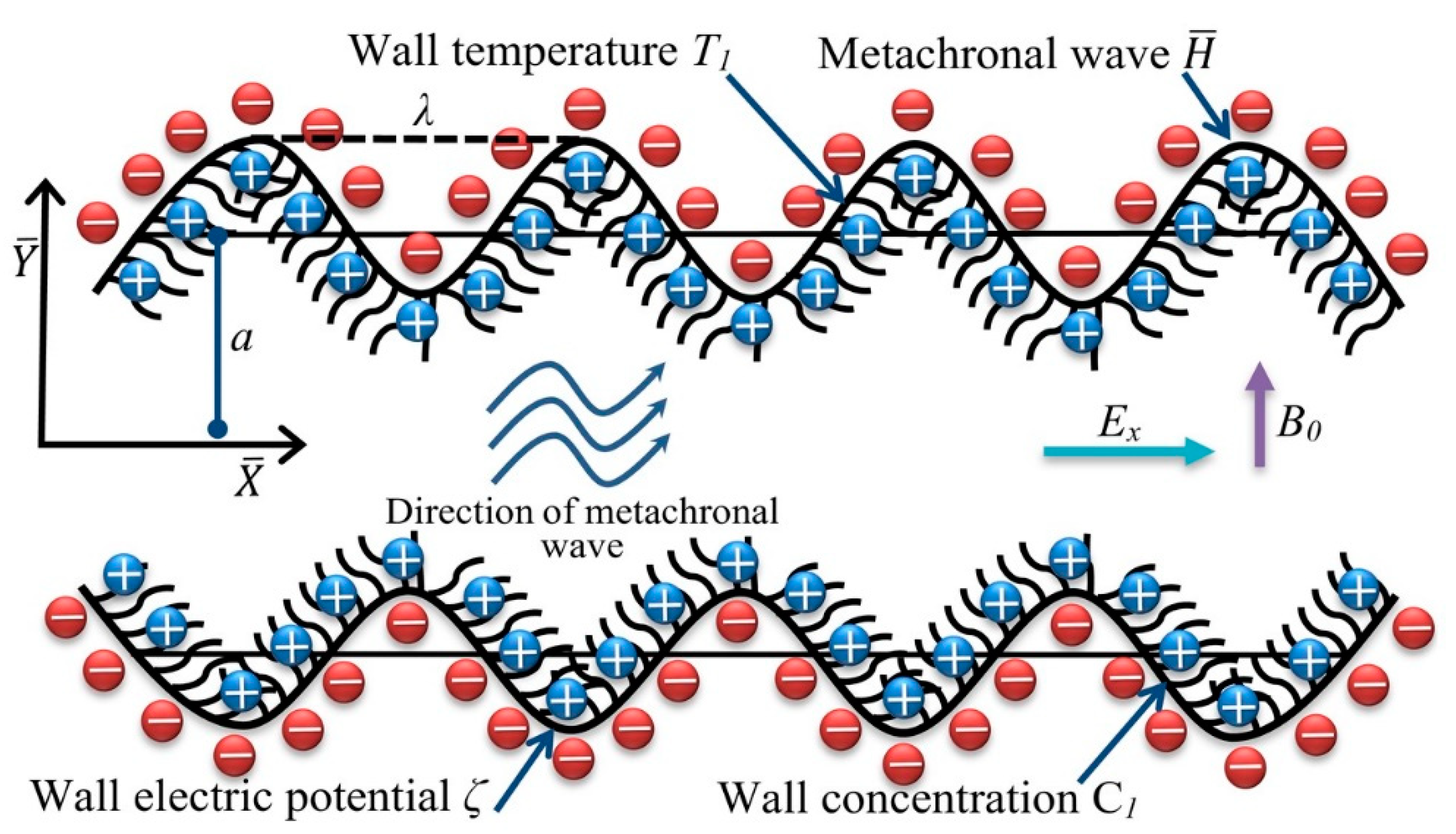 RETRACTED ARTICLE: Solar energy optimization in solar-HVAC using Sutterby  hybrid nanofluid with Smoluchowski temperature conditions: a solar thermal  application