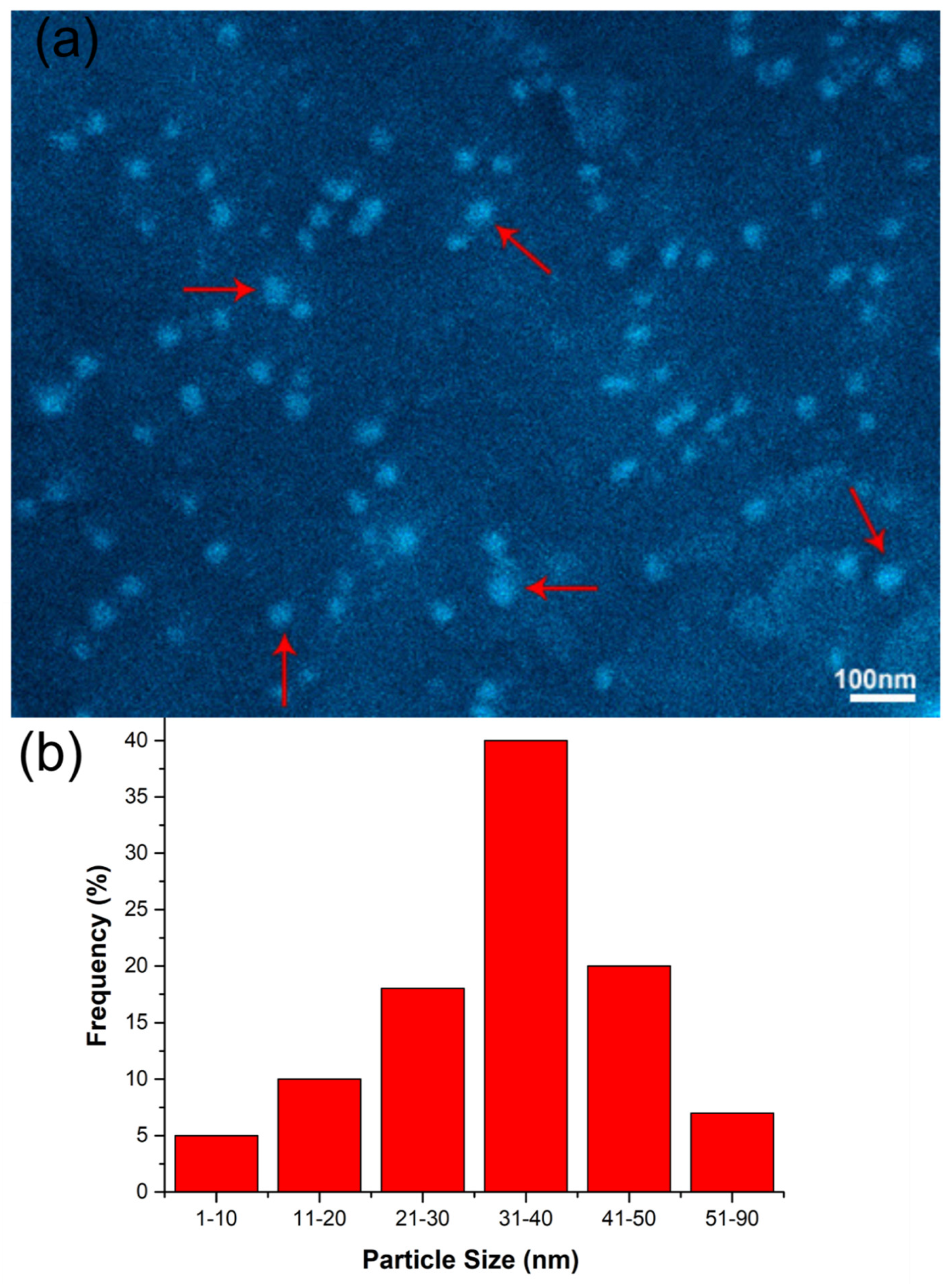 Coatings 11 01293 g003