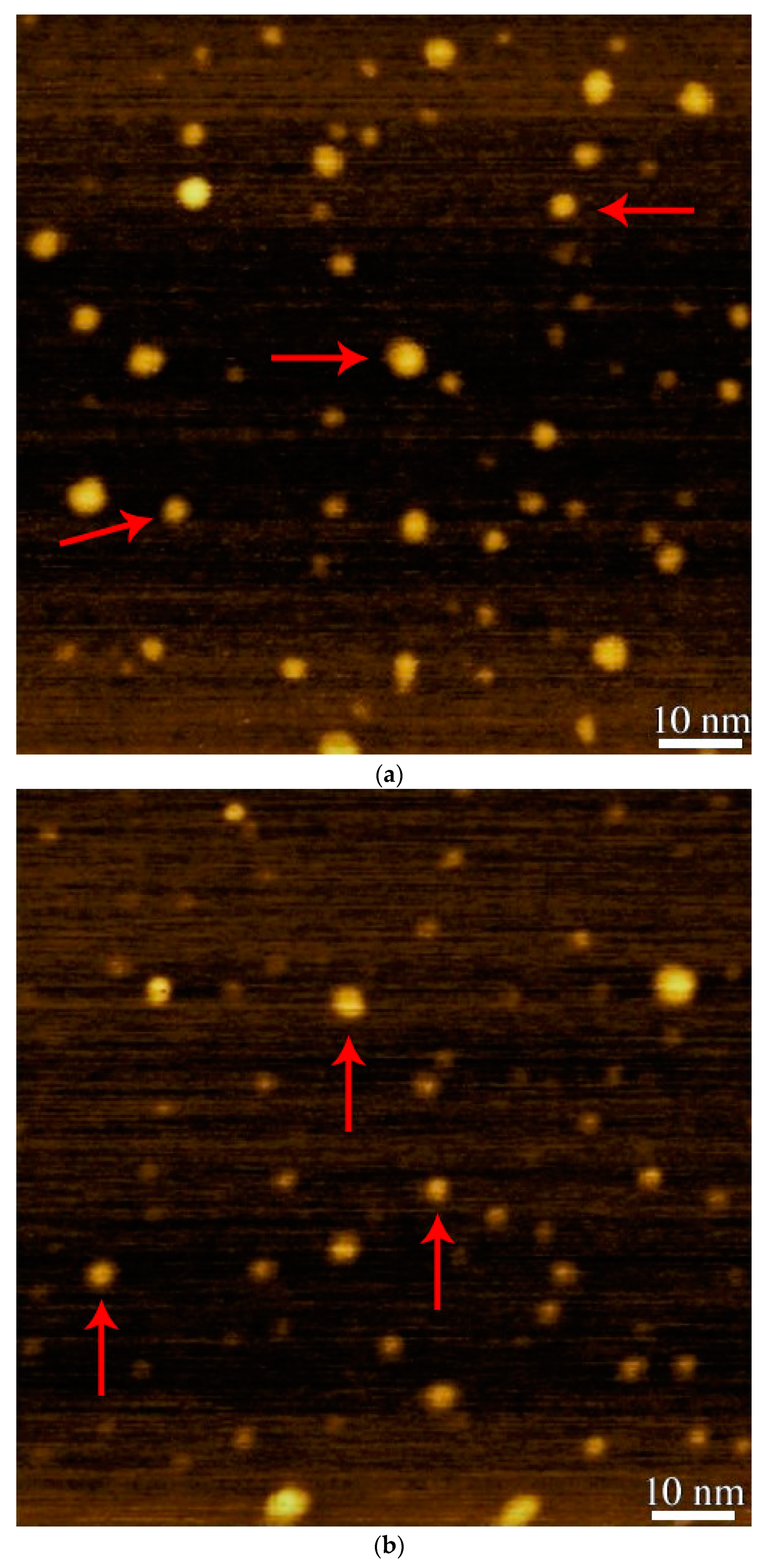 Coatings 11 01295 g002