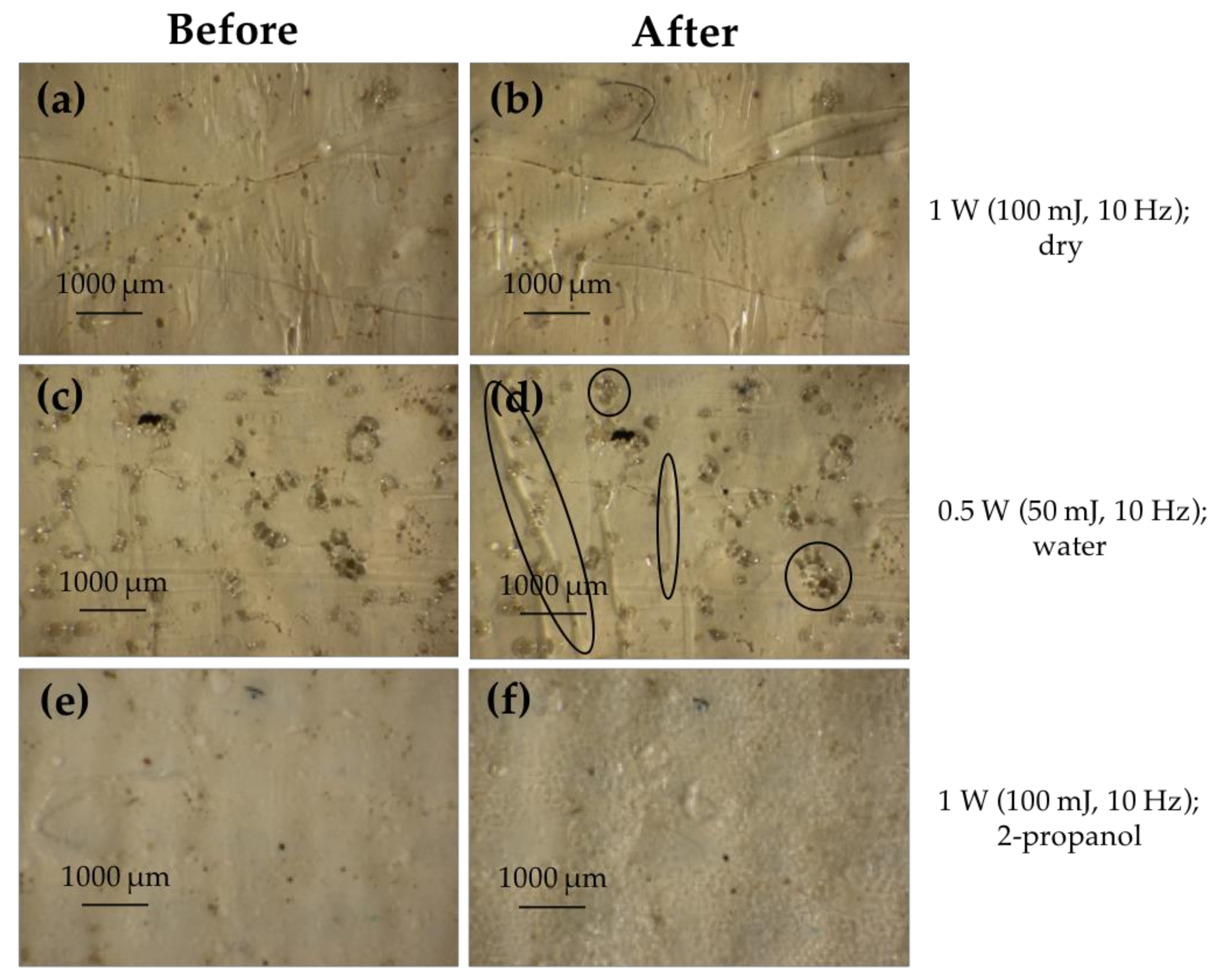 Coatings 11 01315 g006