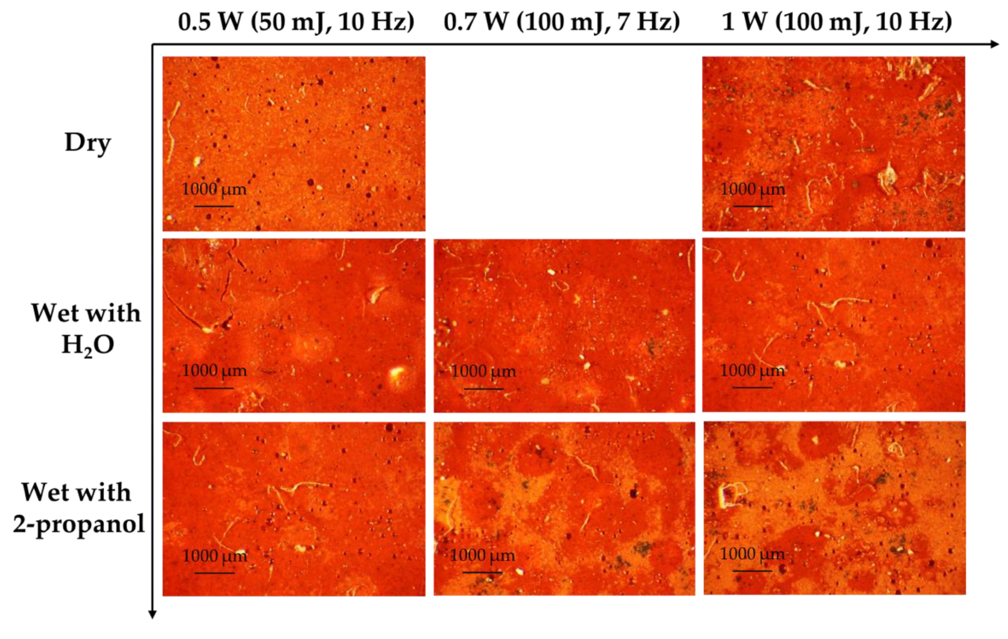 Coatings 11 01315 g011