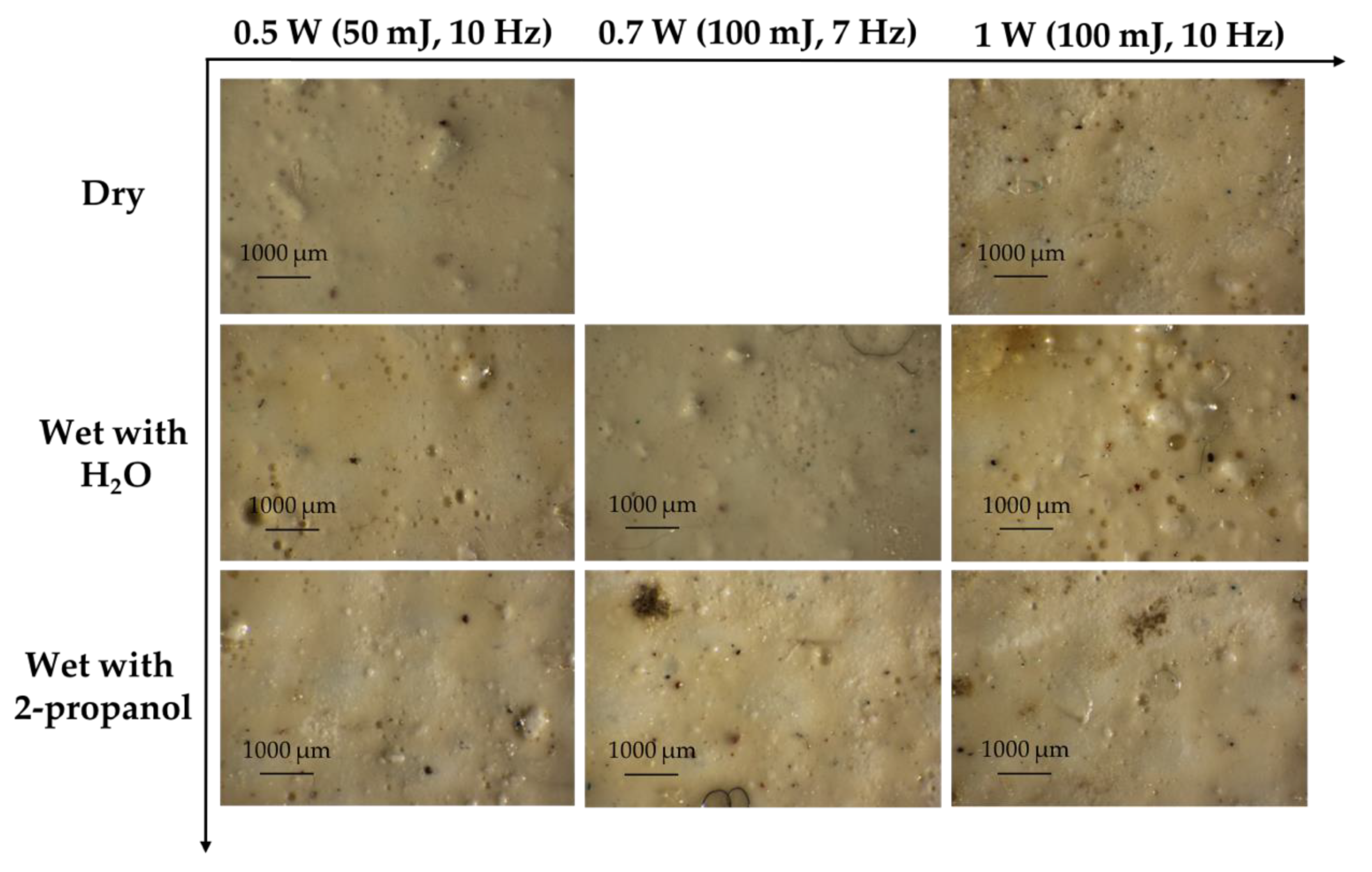 Coatings 11 01315 g012
