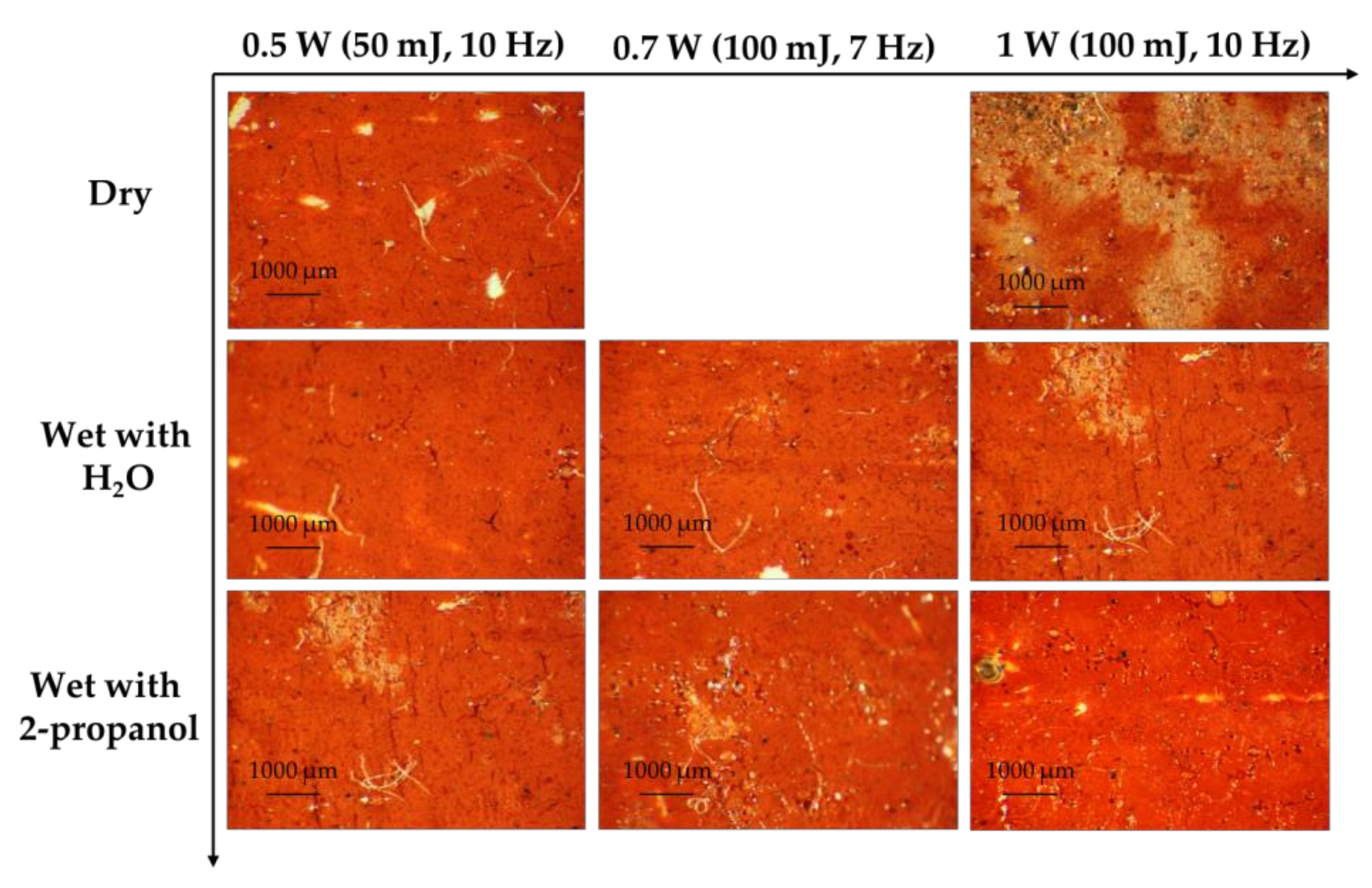 Coatings 11 01315 g013