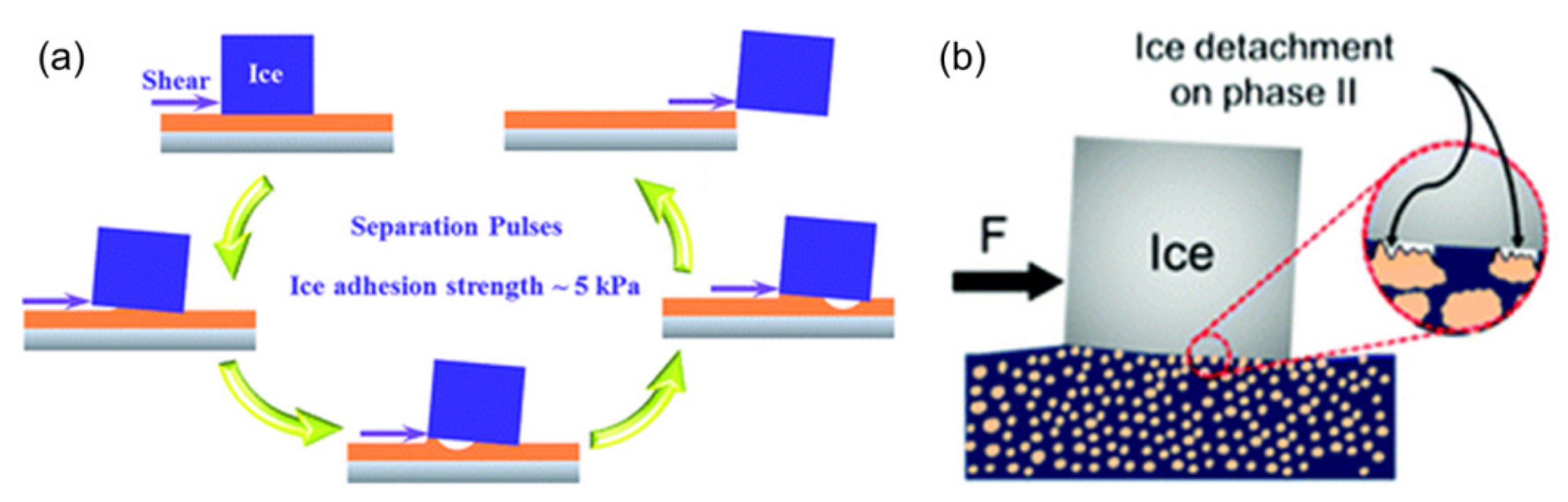 Coatings 11 01343 g005