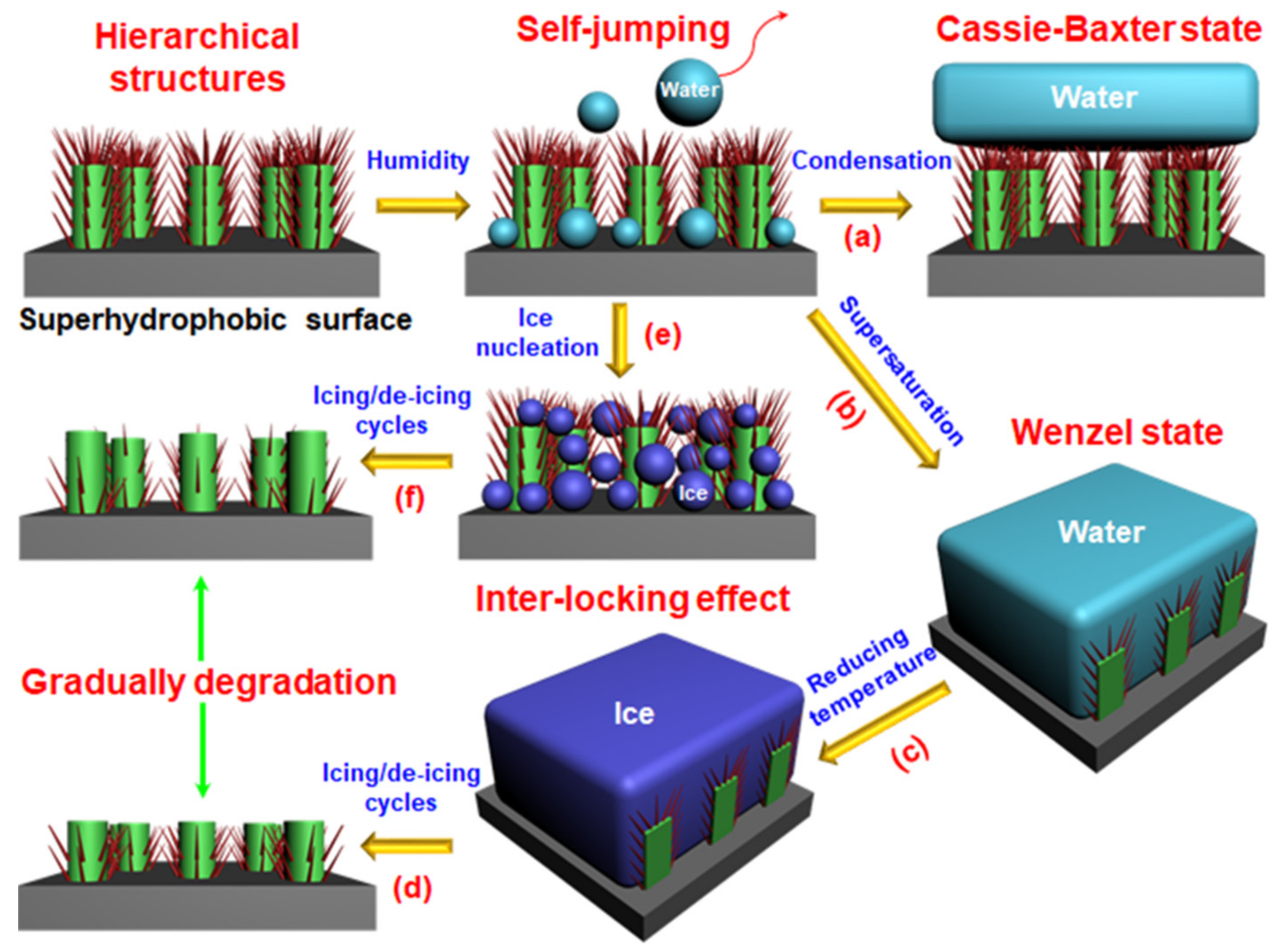 Coatings 11 01343 g006