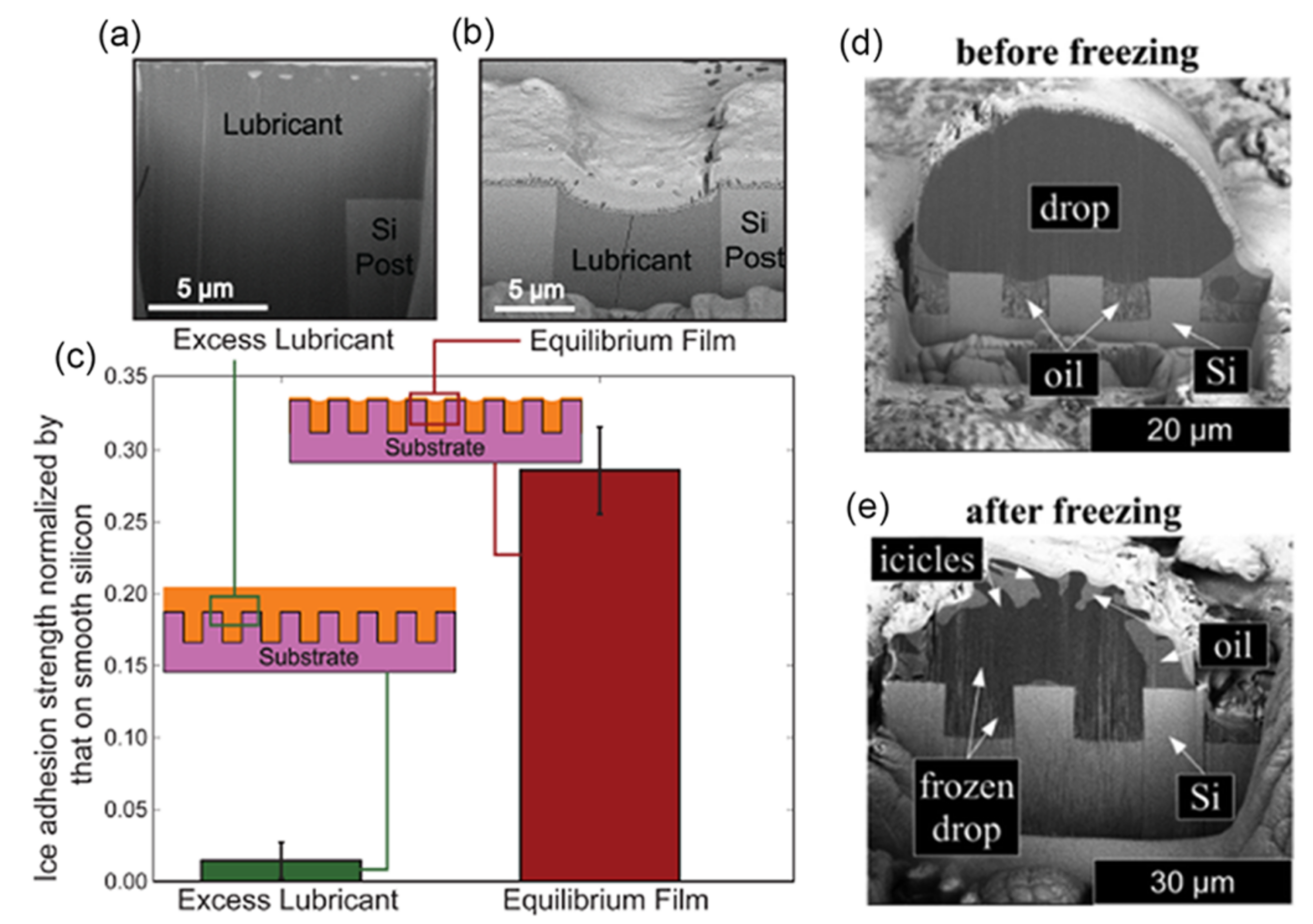 Coatings 11 01343 g010