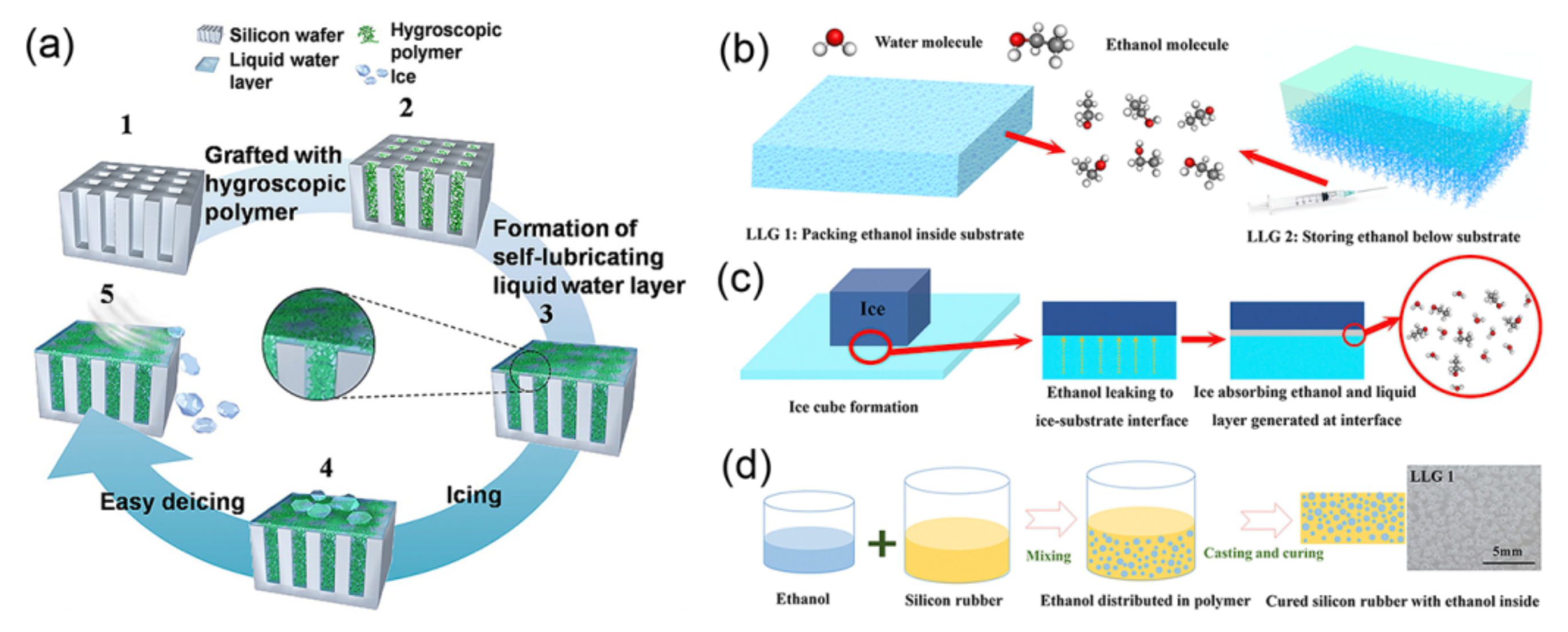 Coatings 11 01343 g011