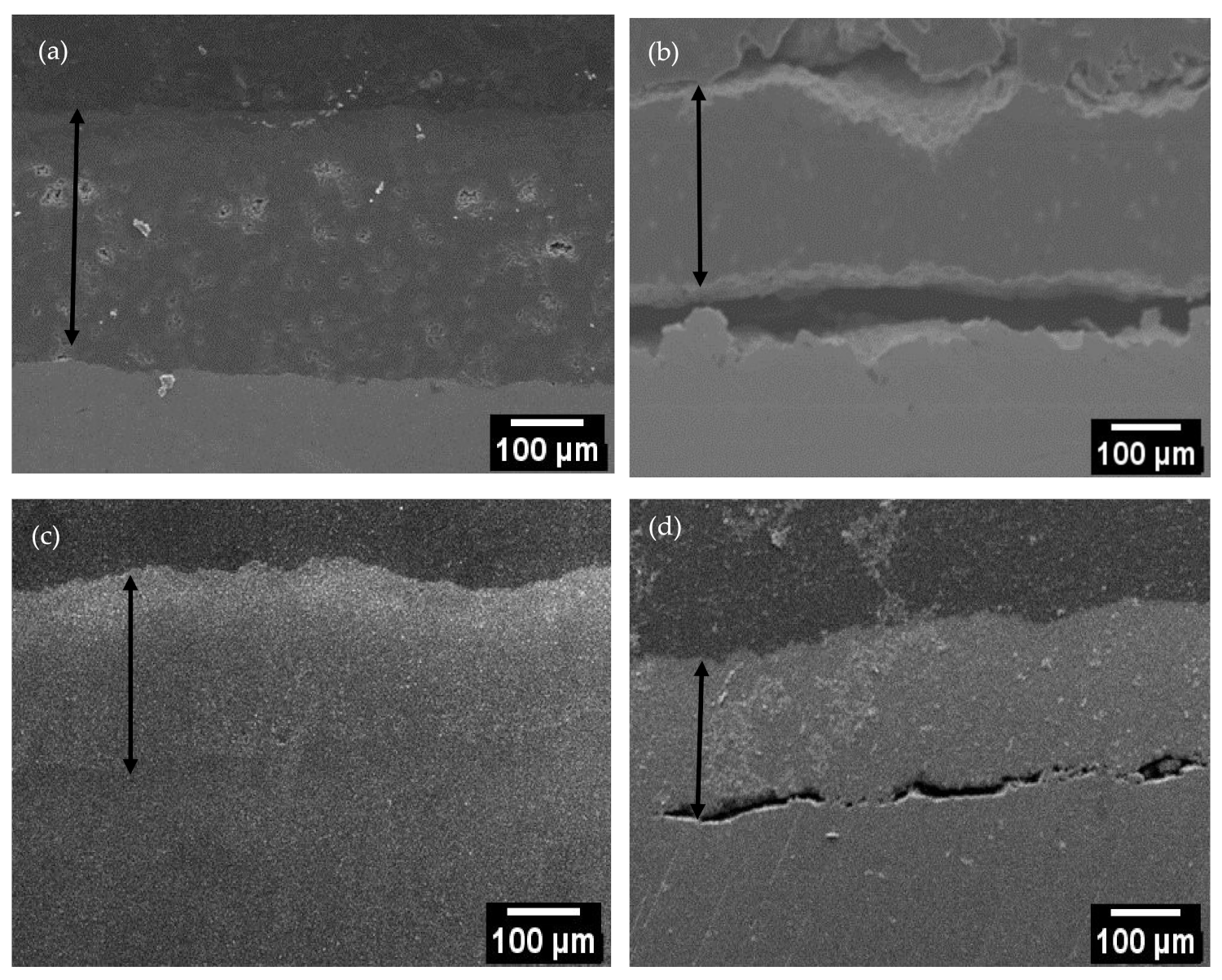 Coatings 11 01349 g002