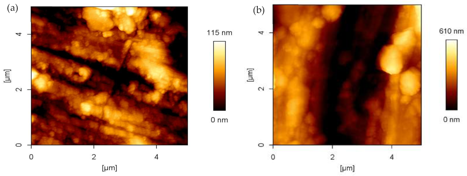 Coatings 11 01349 g009