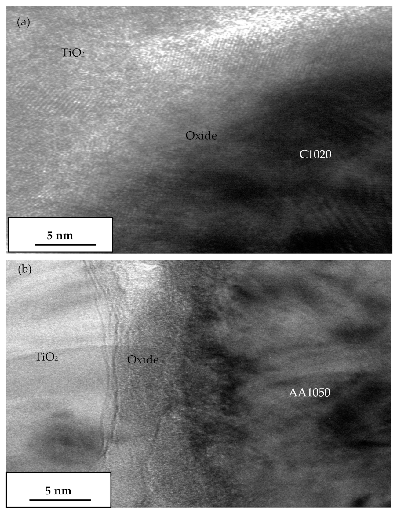 Coatings 11 01349 g012