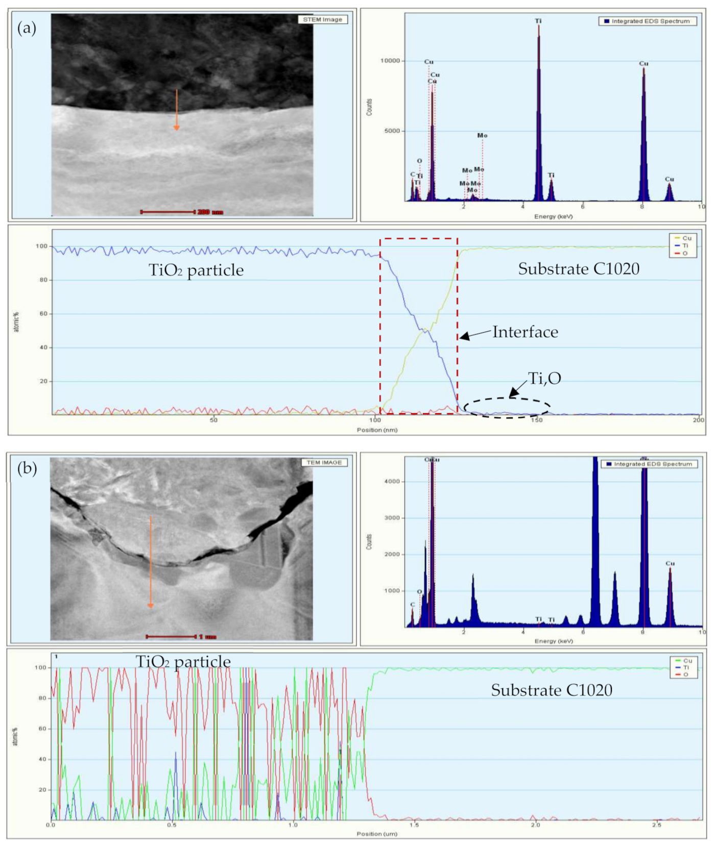 Coatings 11 01349 g013