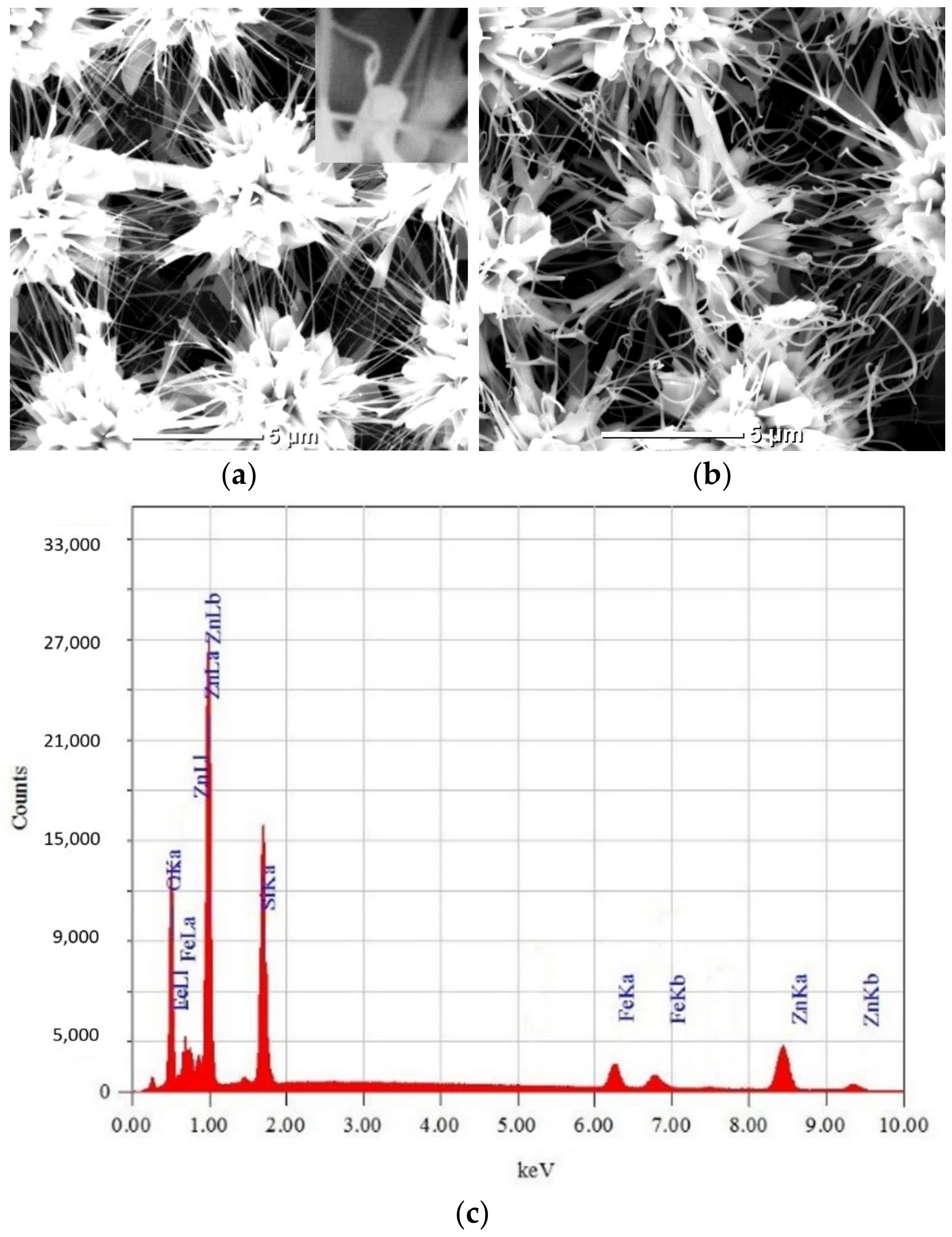 Coatings 11 01369 g004