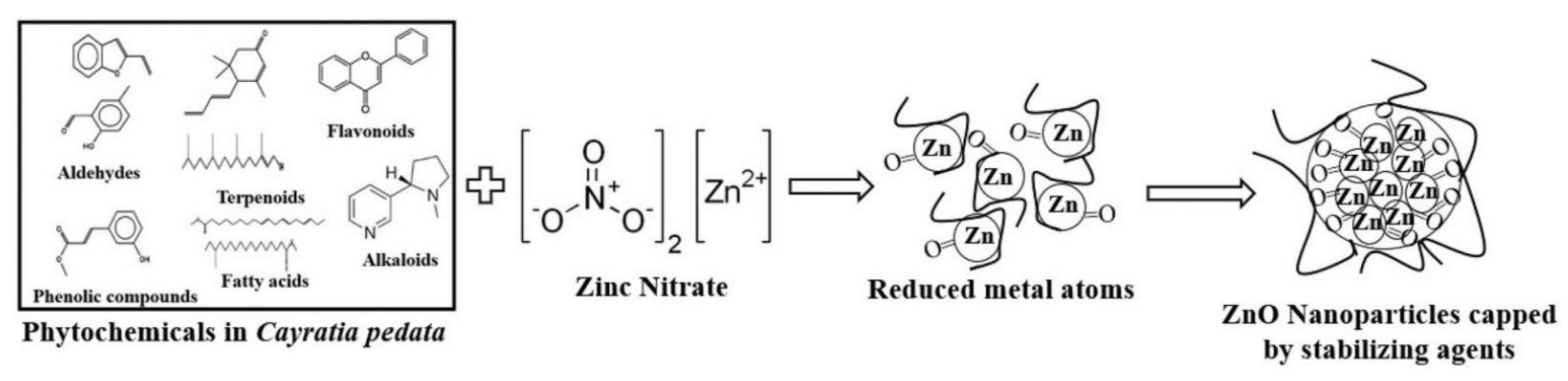 Coatings 11 01374 g002
