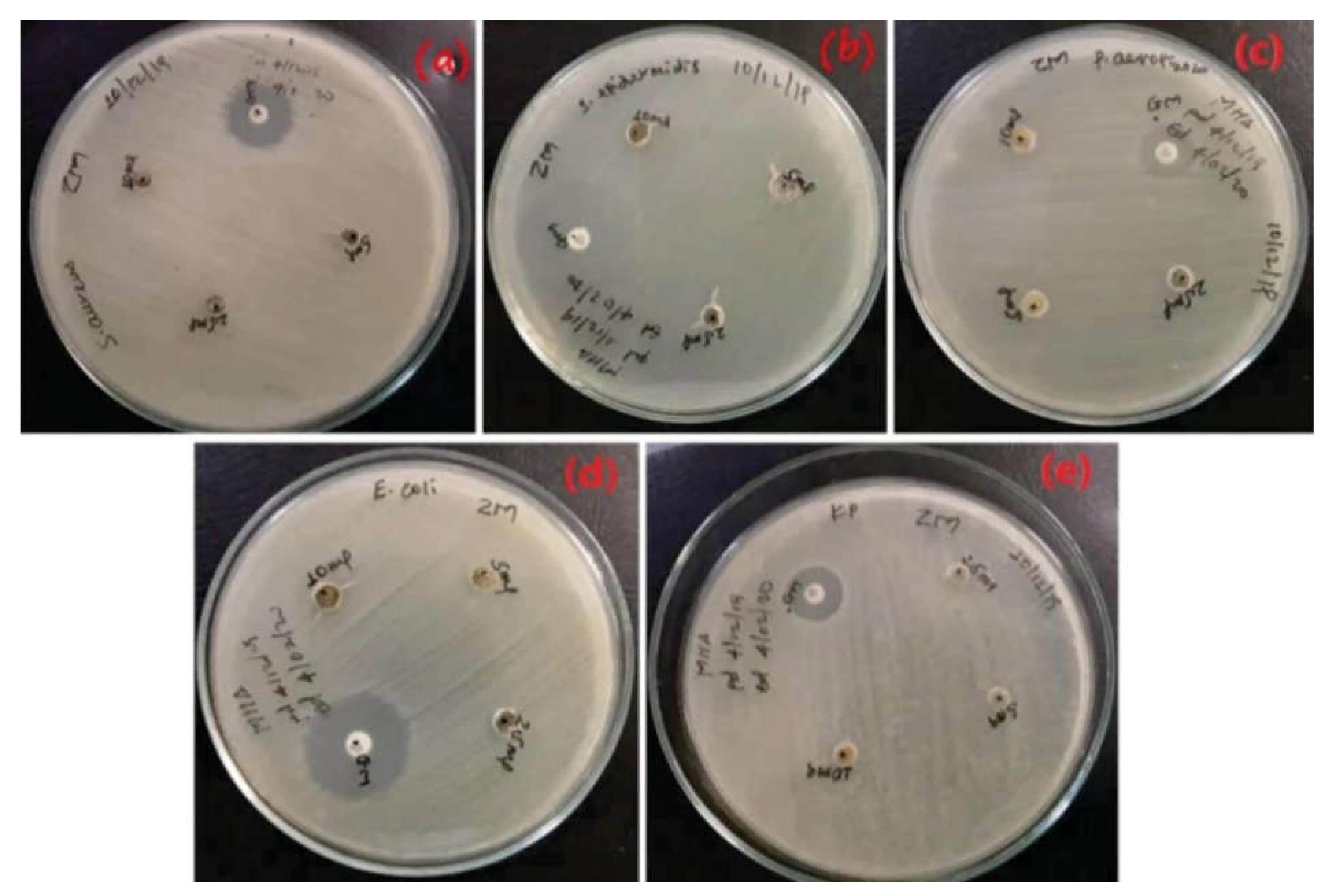 Coatings 11 01374 g003