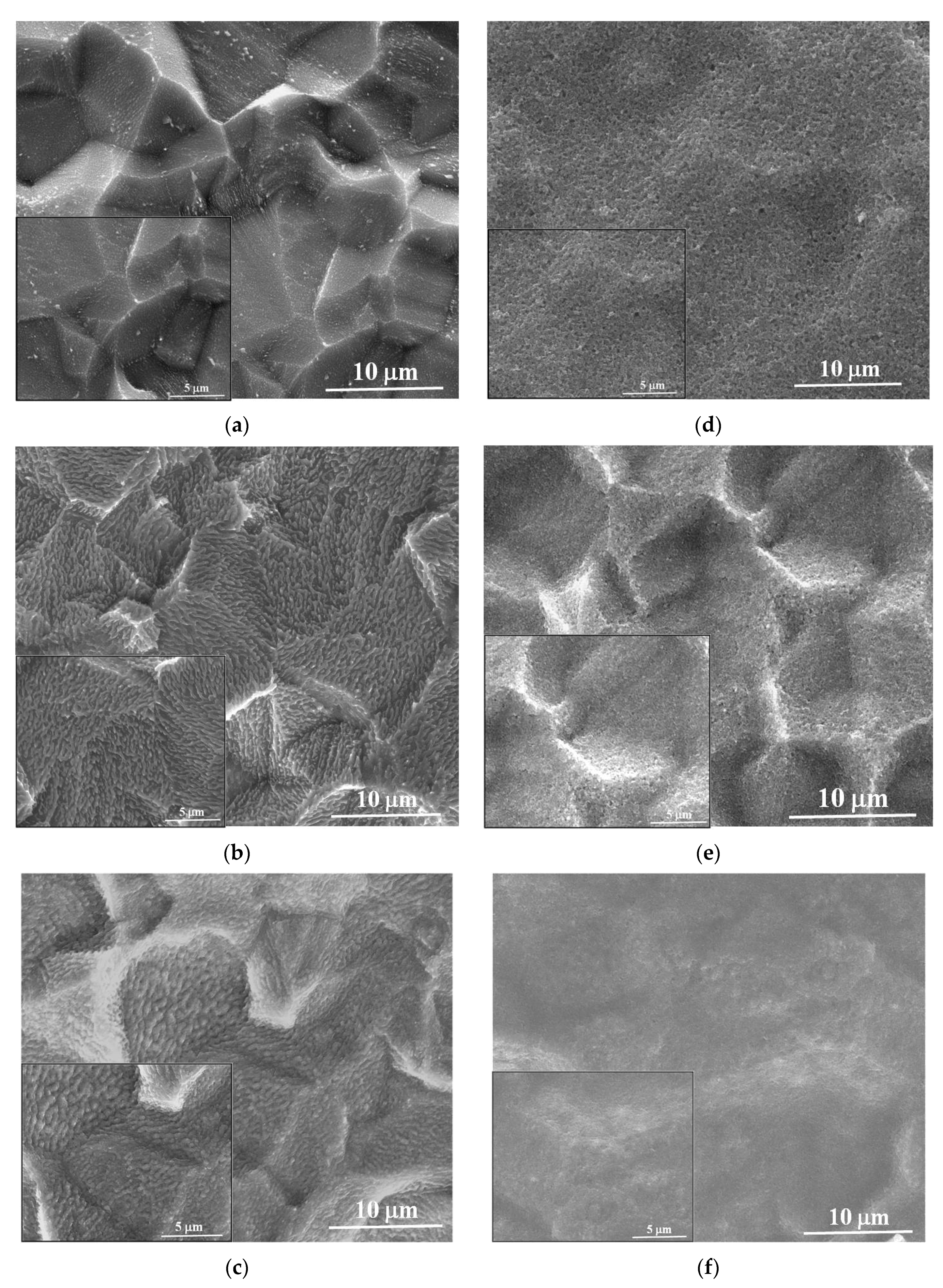 Coatings 11 01380 g003