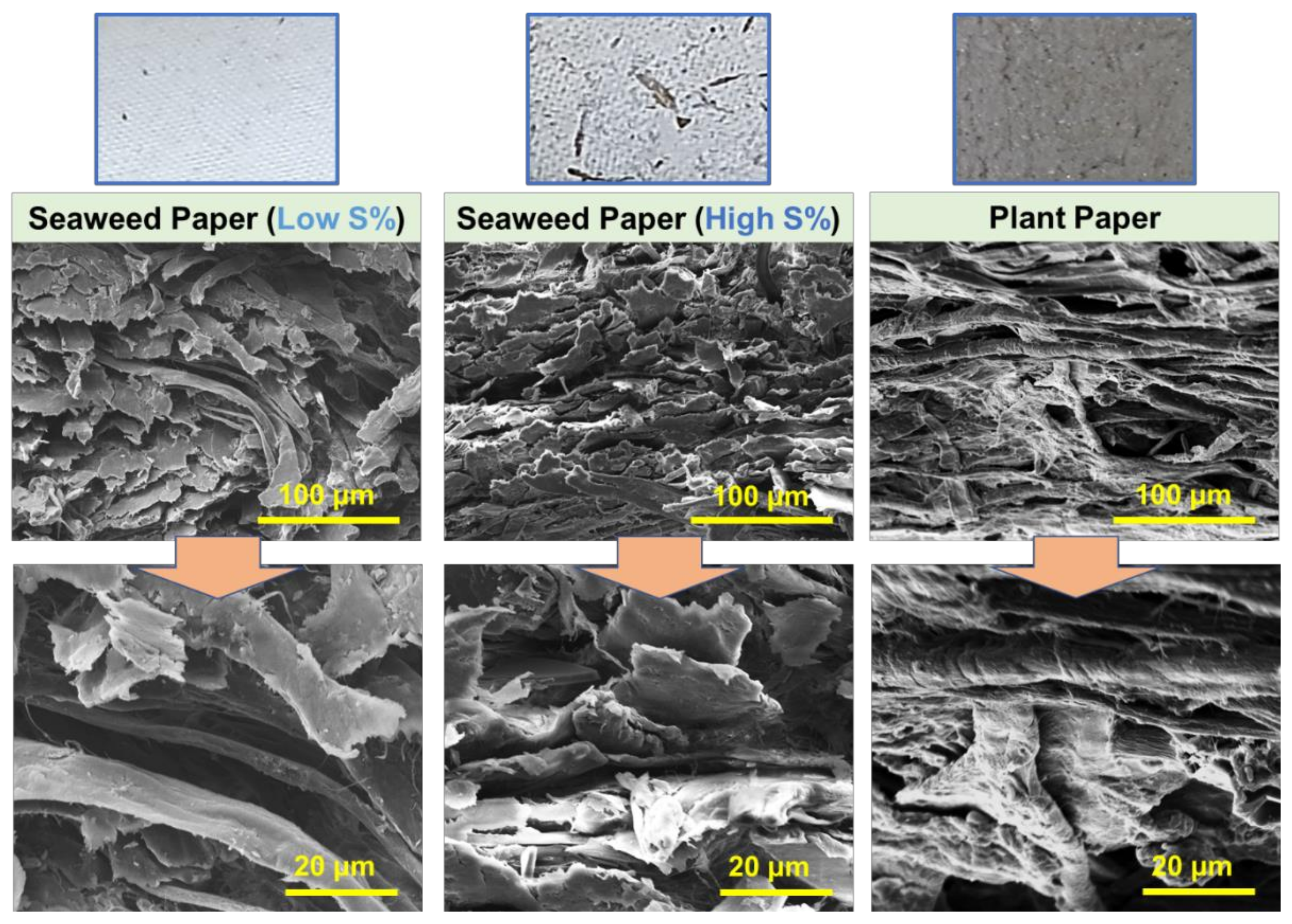 Coatings 11 01384 g003