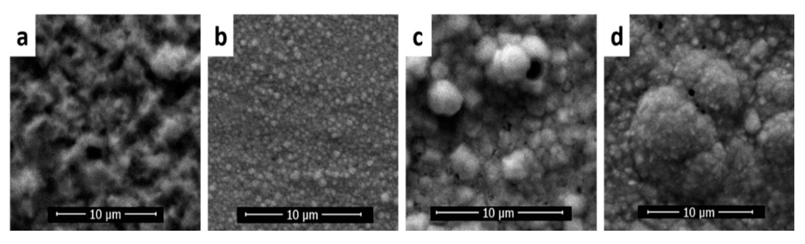 Coatings 11 01395 g004