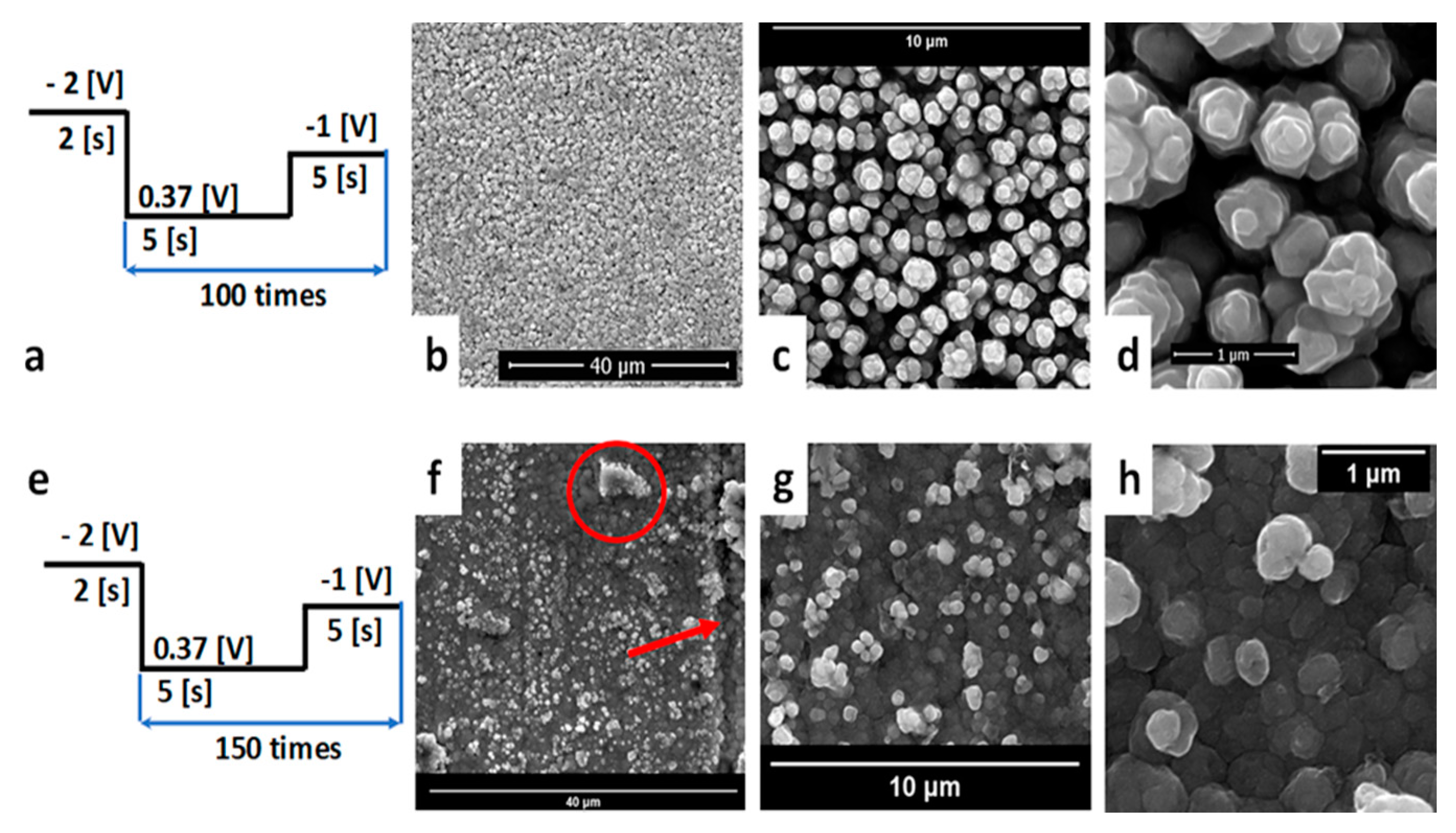 Coatings 11 01395 g005