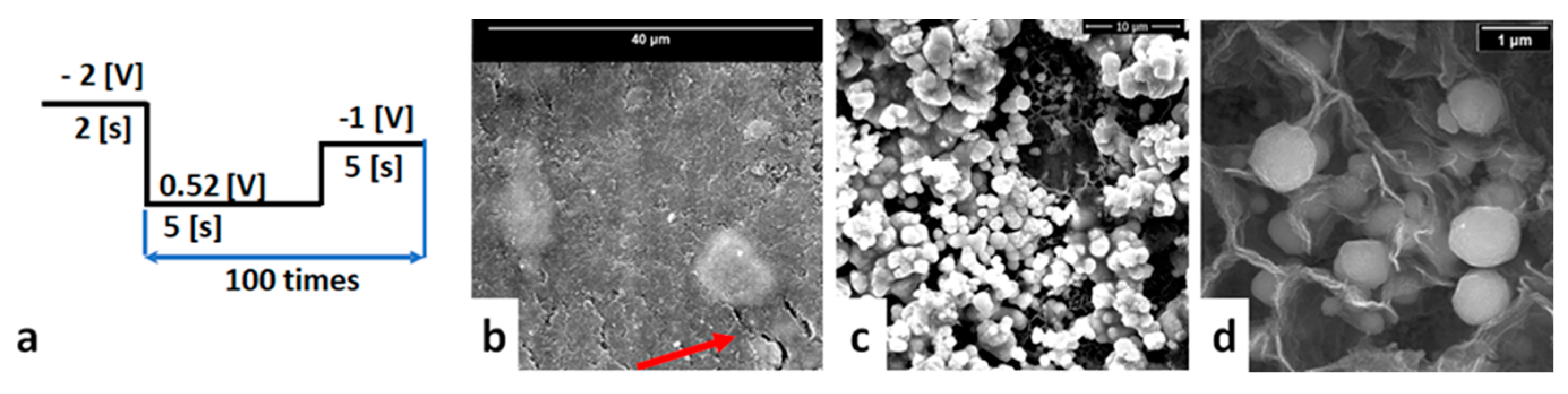 Coatings 11 01395 g006