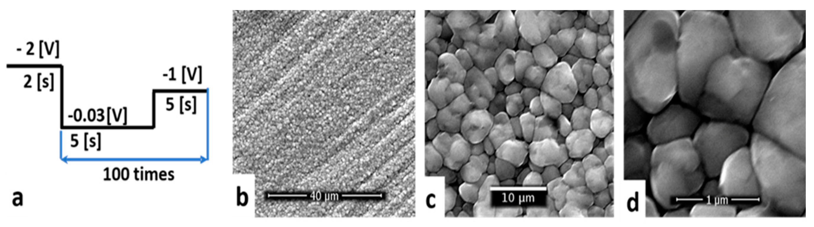 Coatings 11 01395 g007