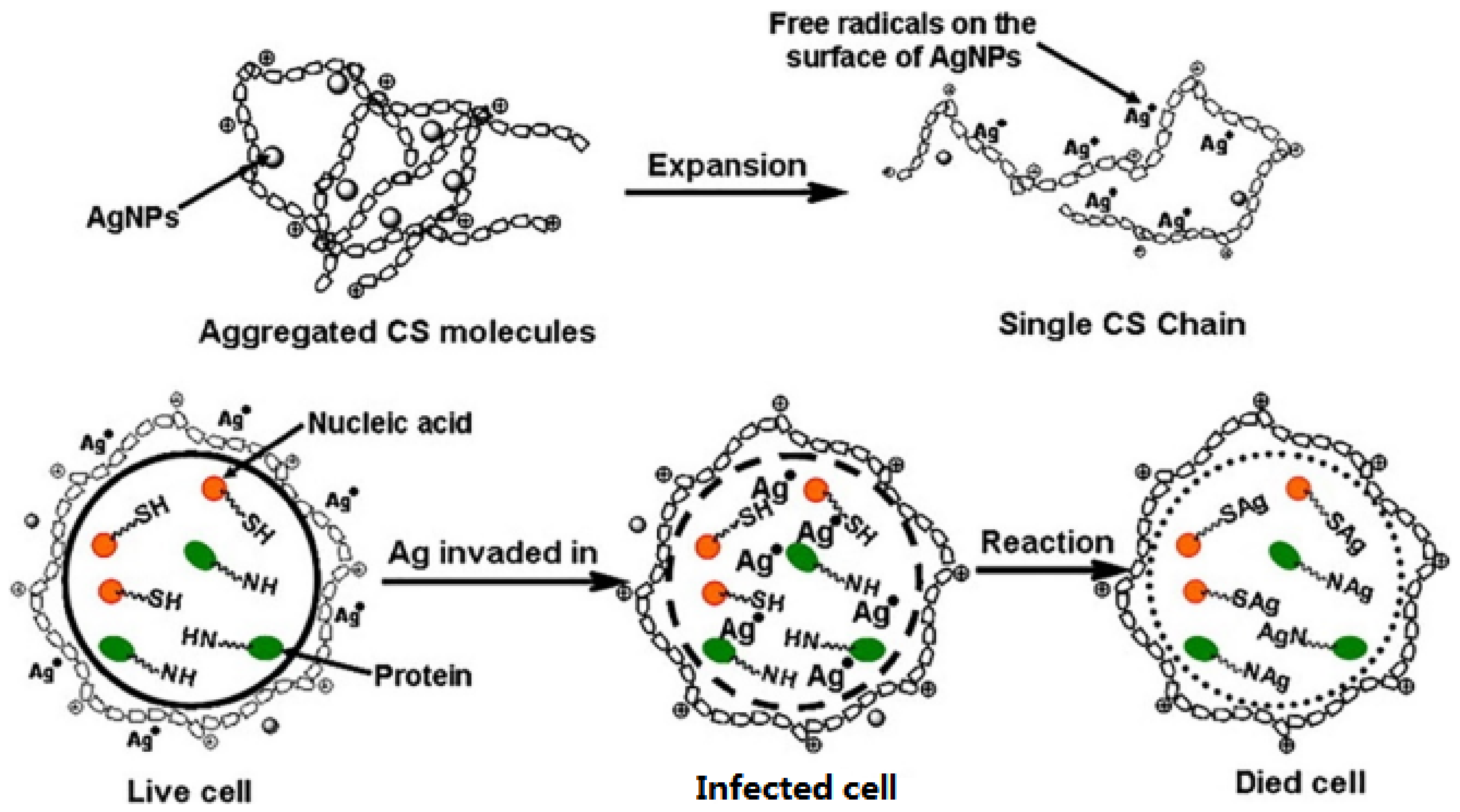 Coatings 11 01401 g004