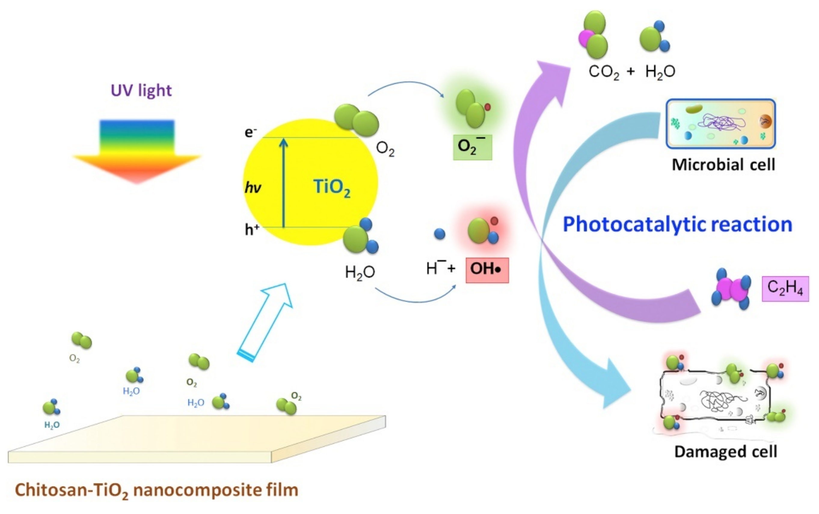 Coatings 11 01401 g005