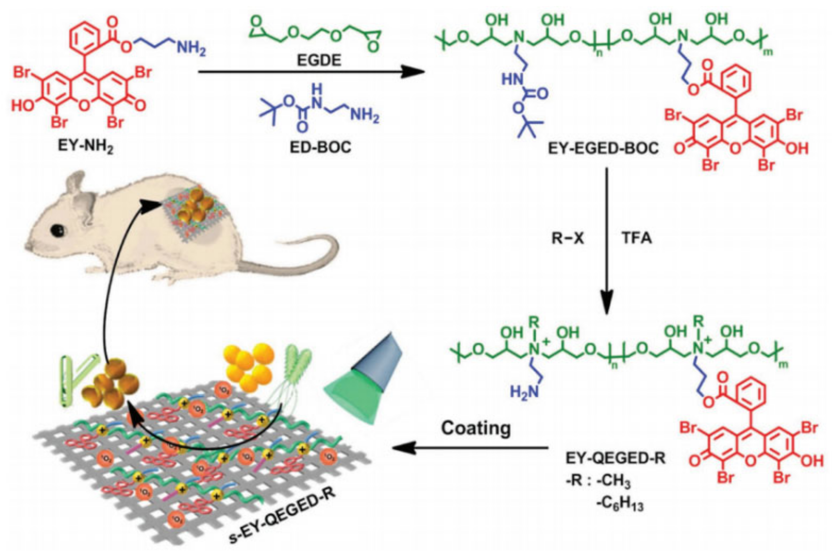 Coatings 11 01401 g006