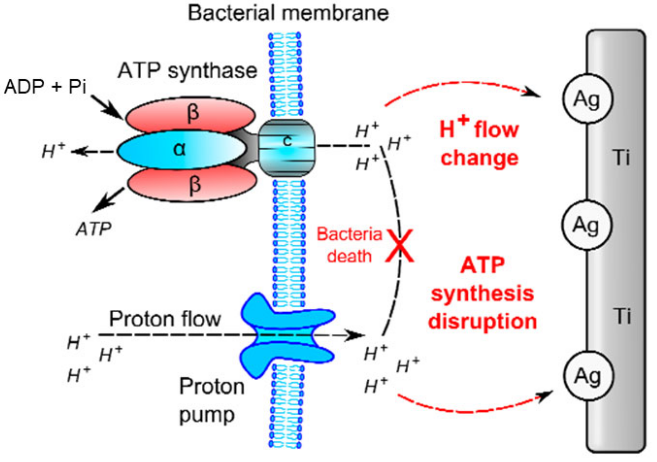 Coatings 11 01401 g007
