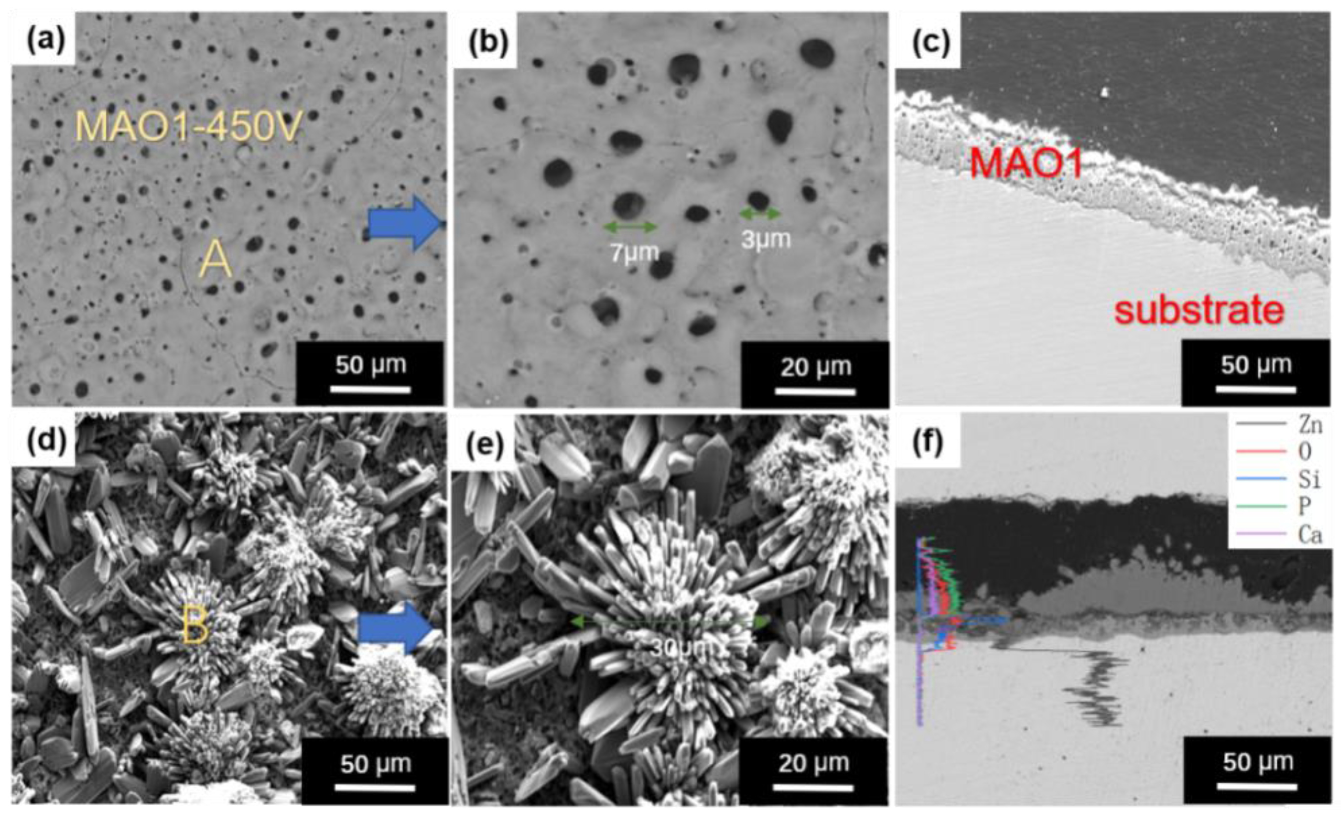Coatings 11 01425 g001