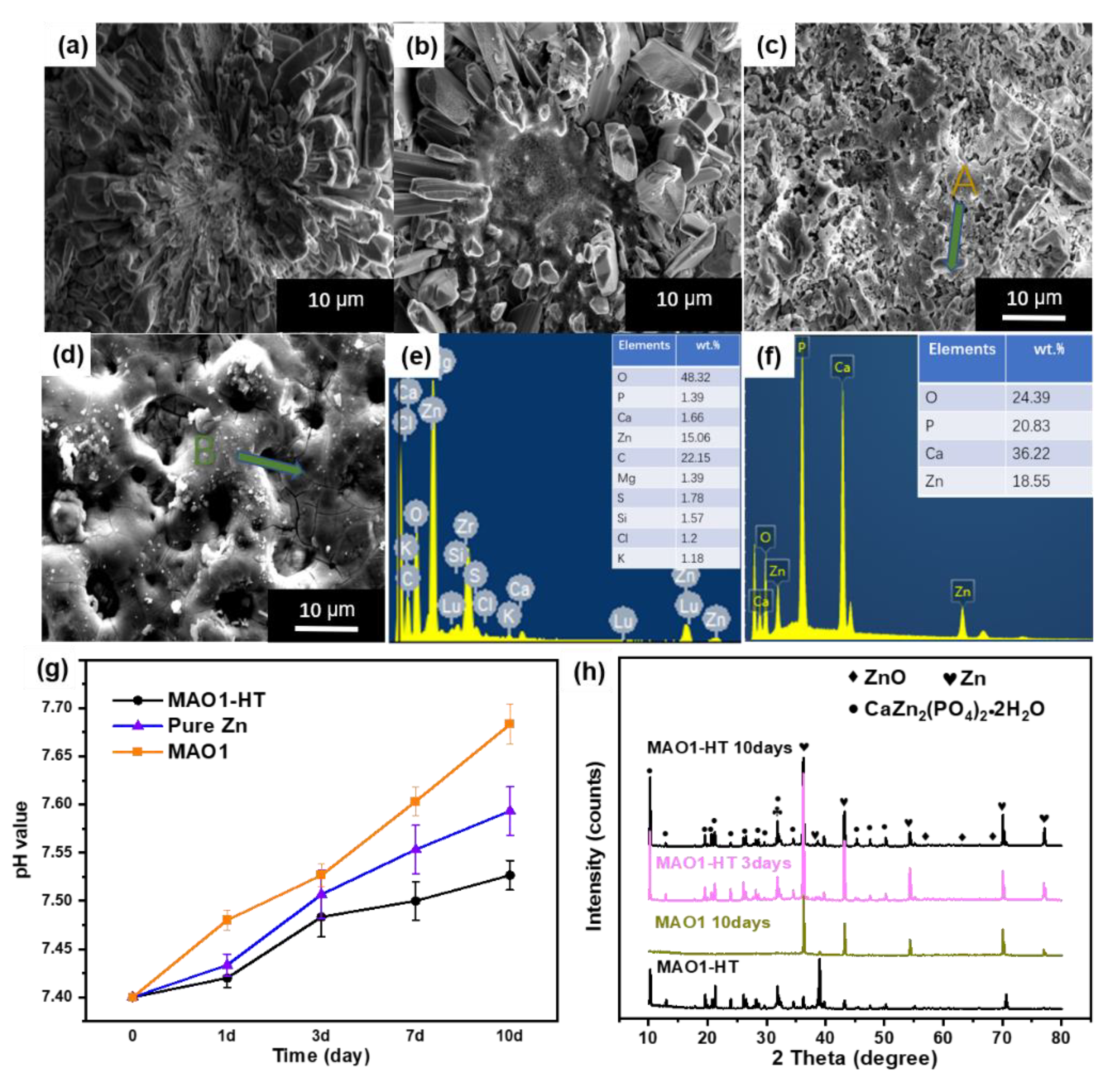 Coatings 11 01425 g005