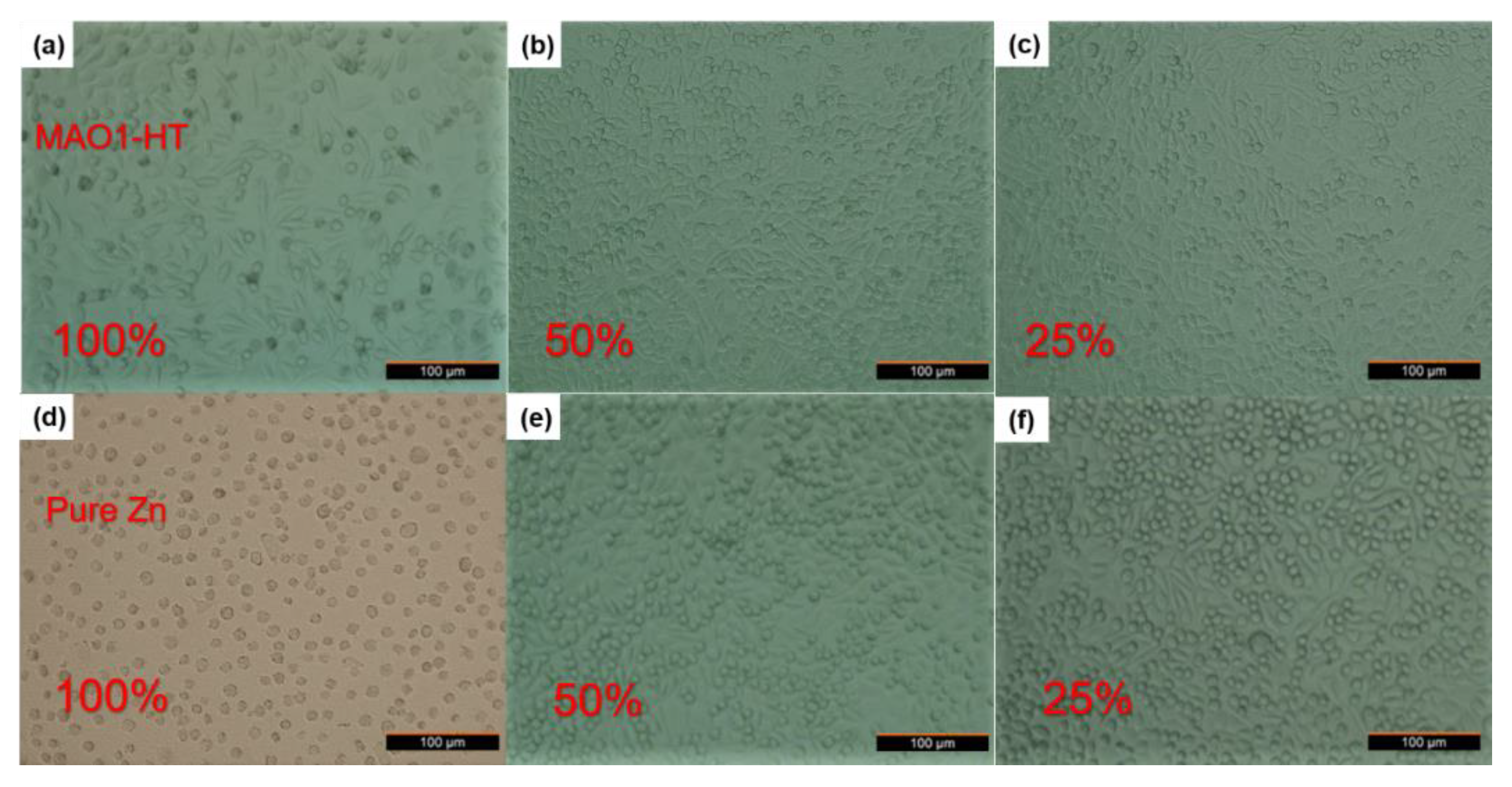 Coatings 11 01425 g007